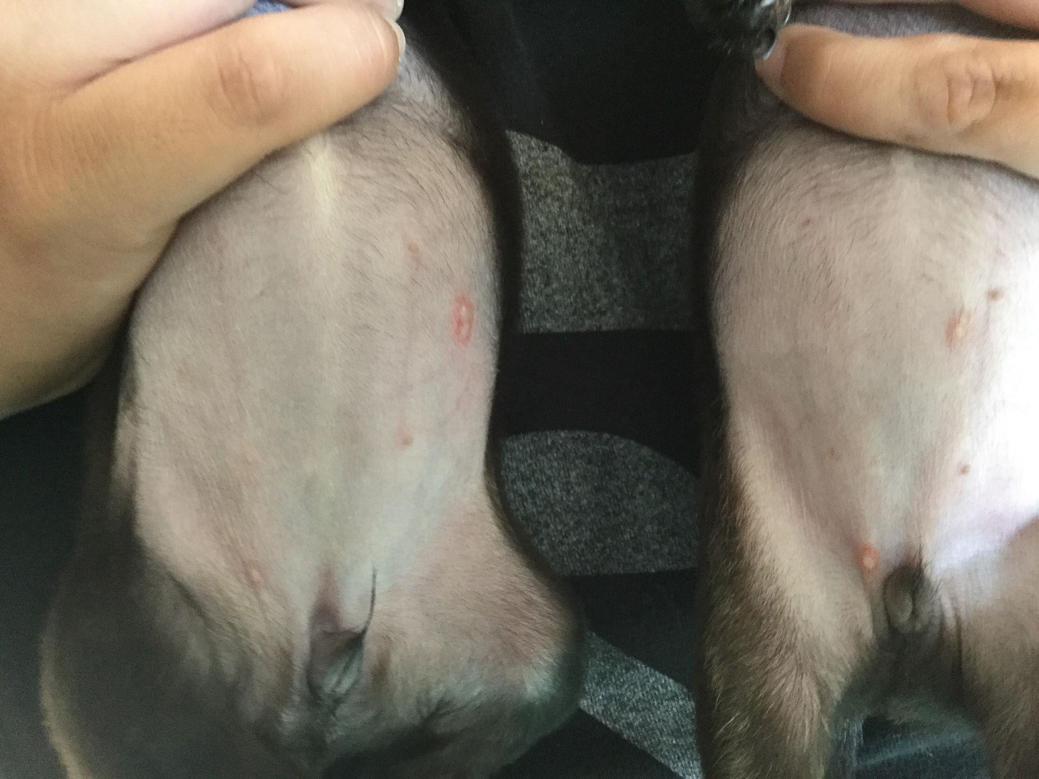 Question details sensitive content