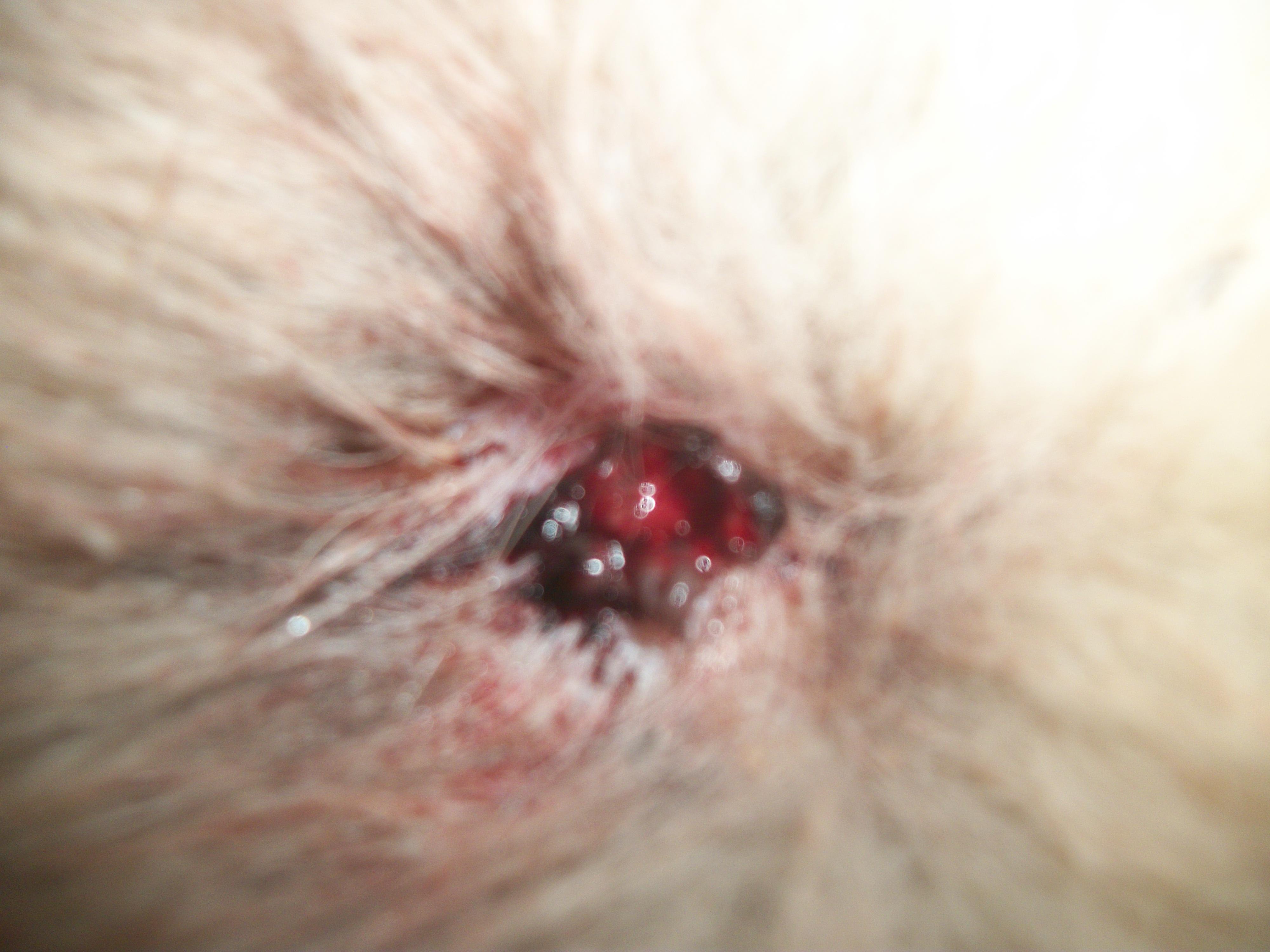 Question details sensitive content