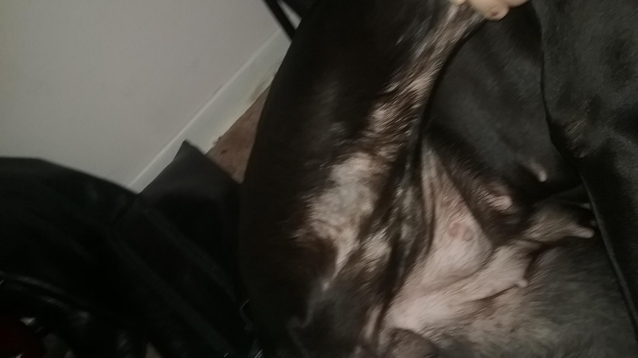 Question details sensitive content