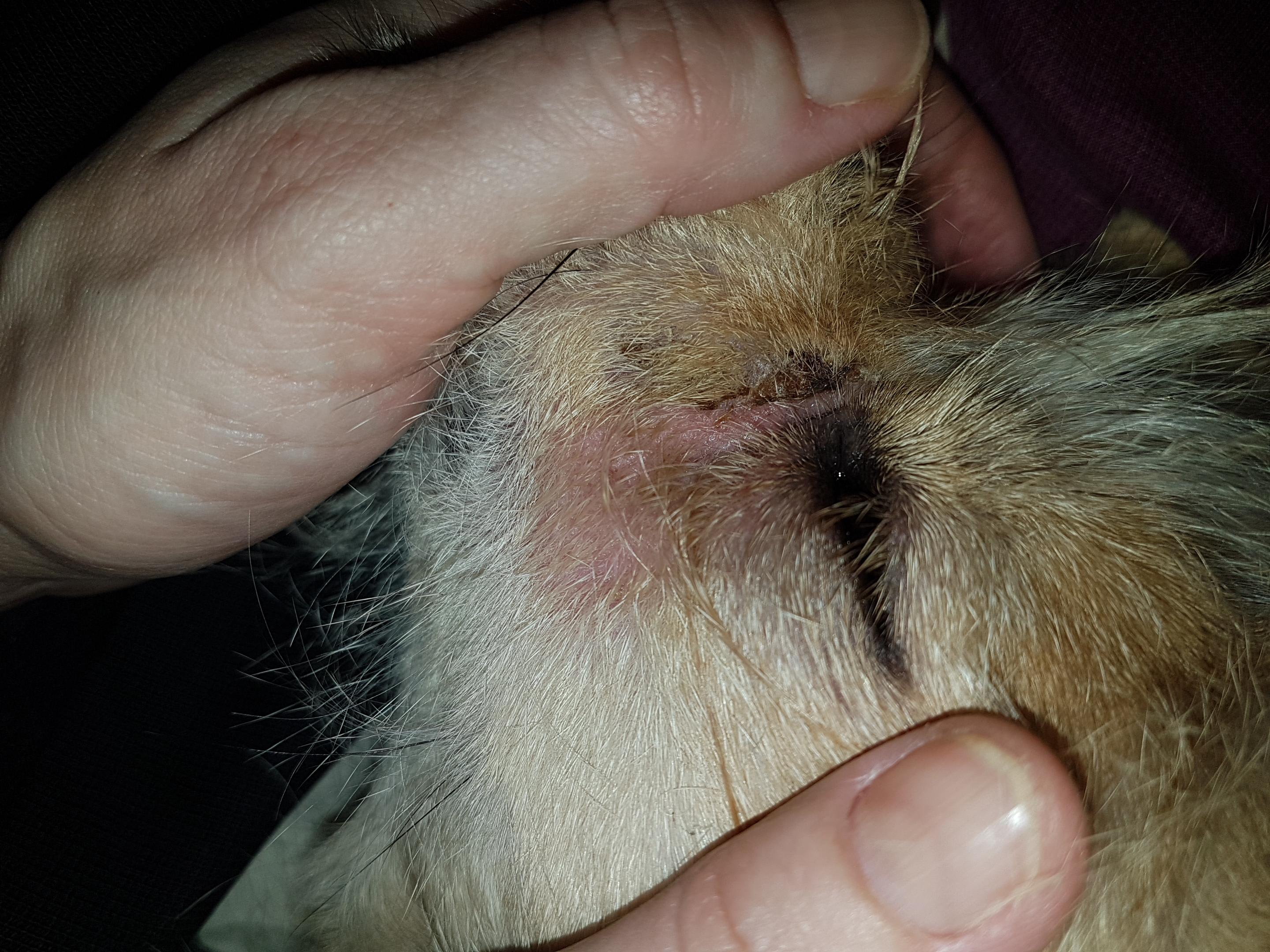 Question details sensitive content