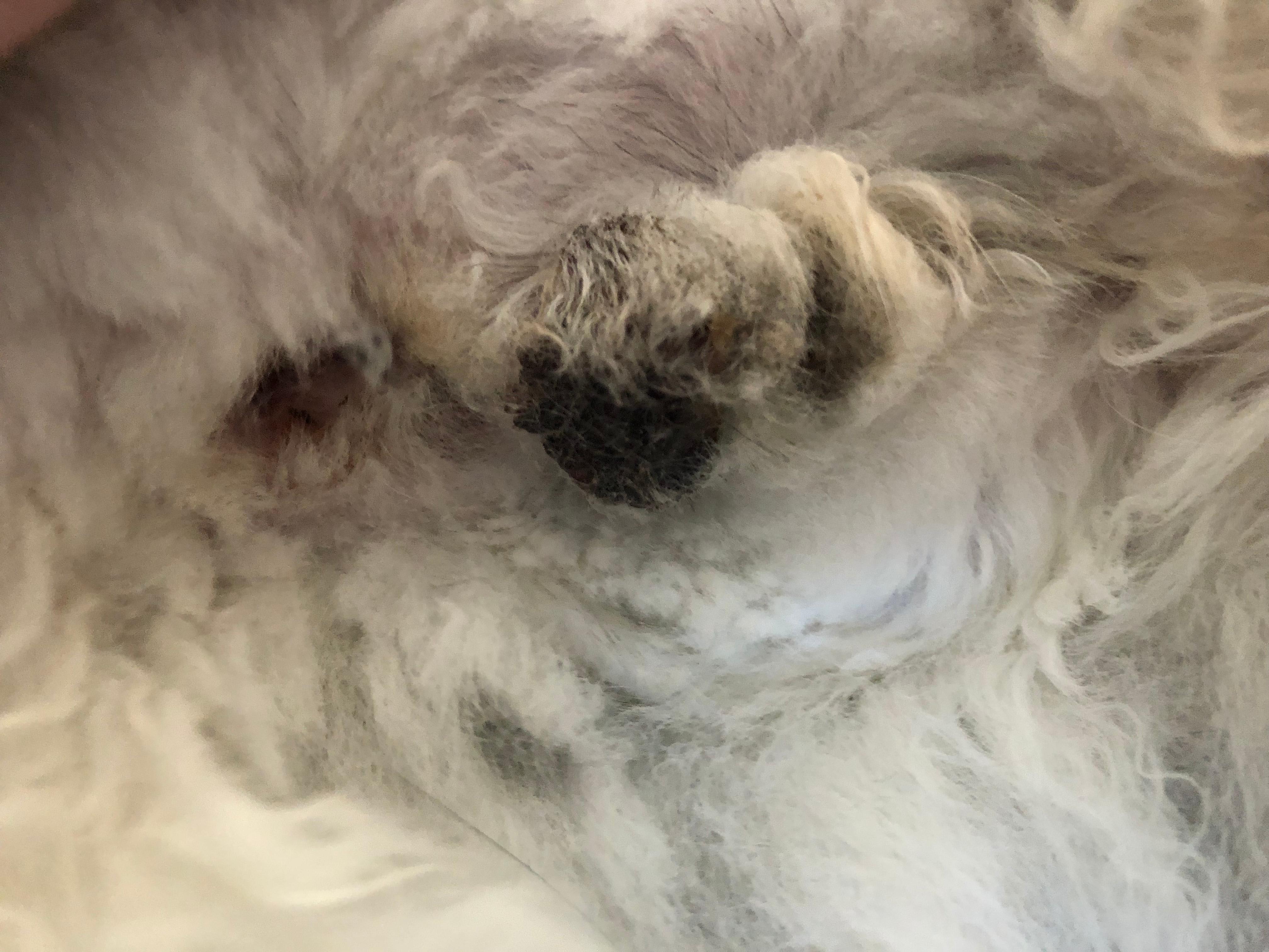 Question details sensitive content