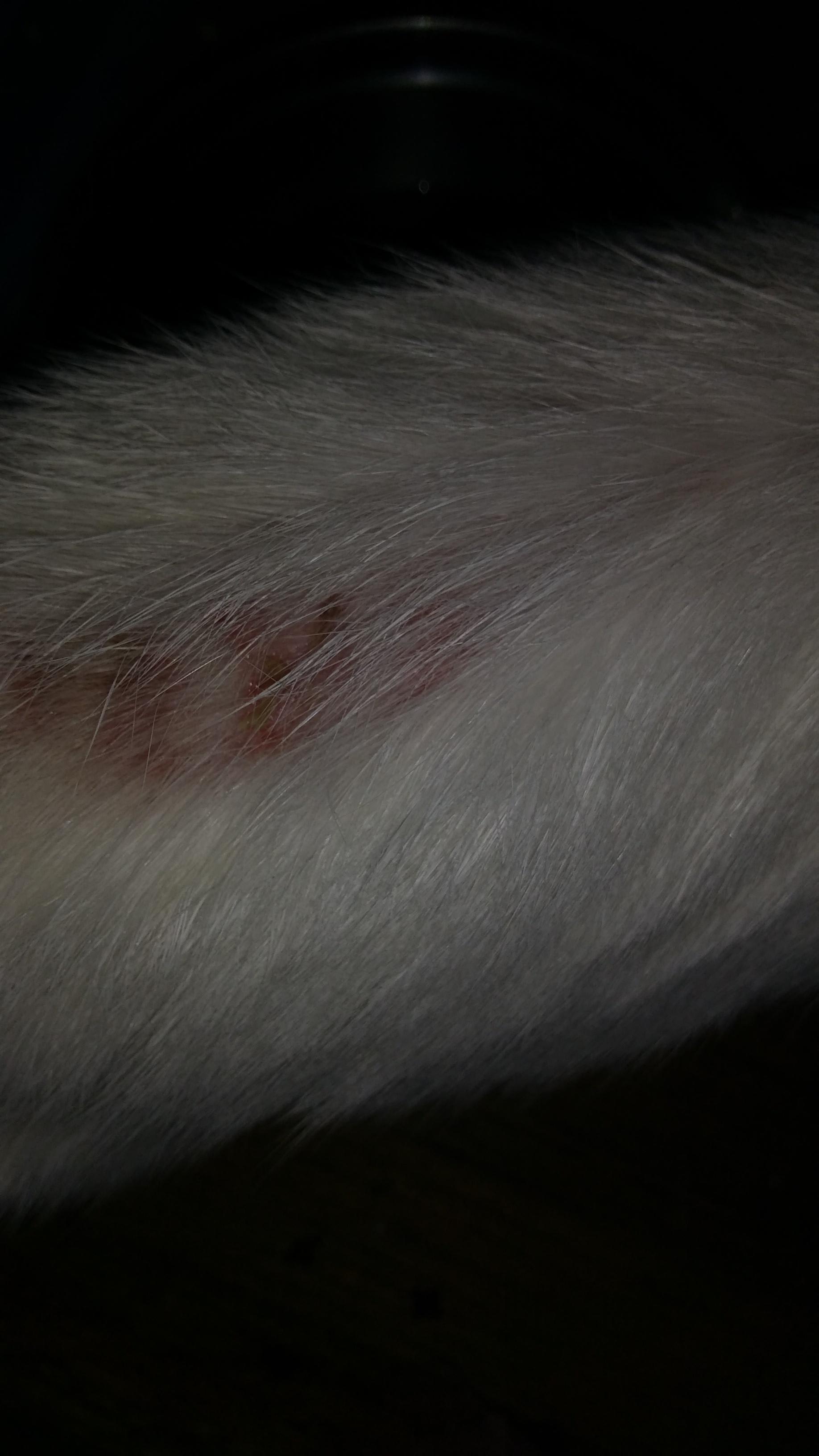 Question details sensitive content