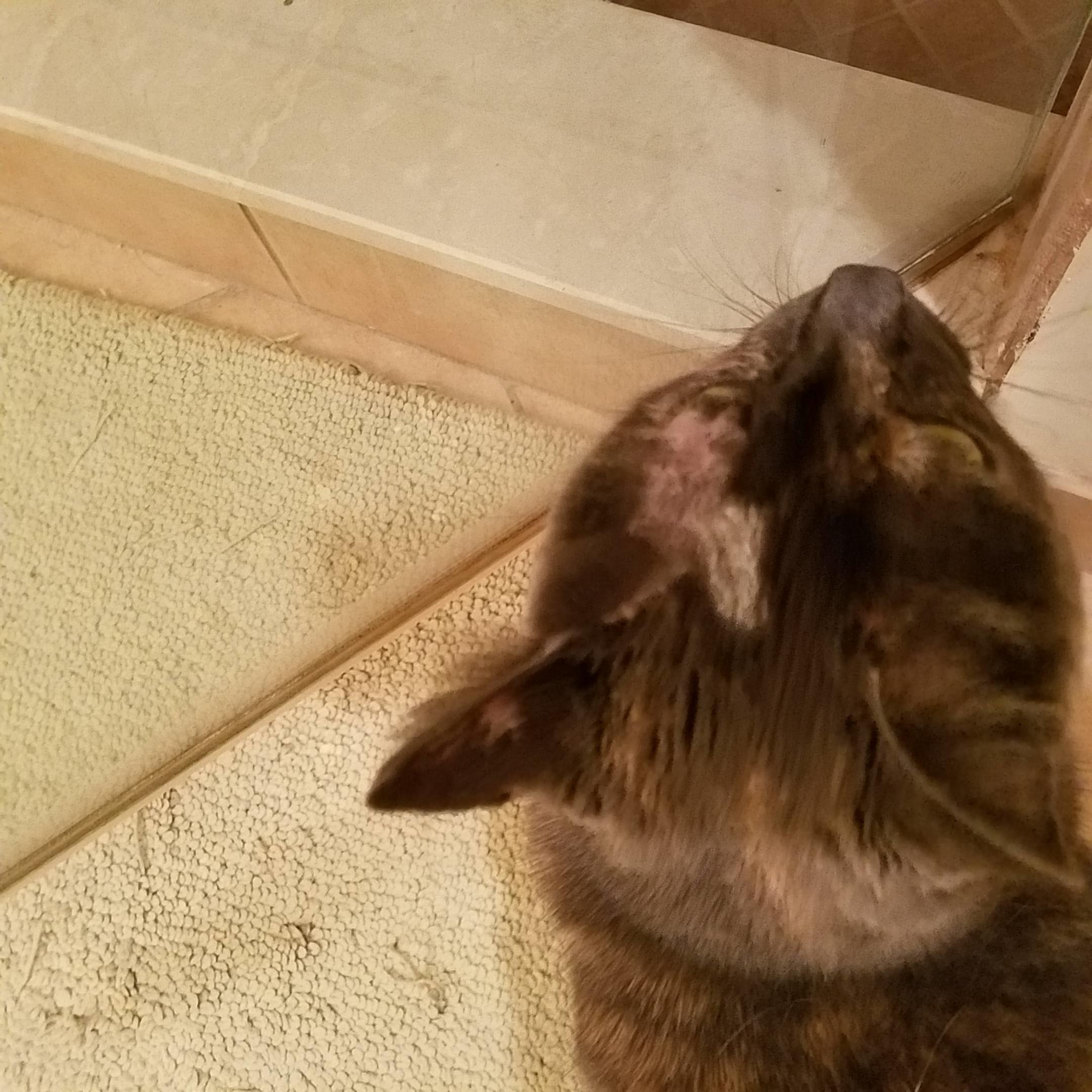 Question details sensitive content