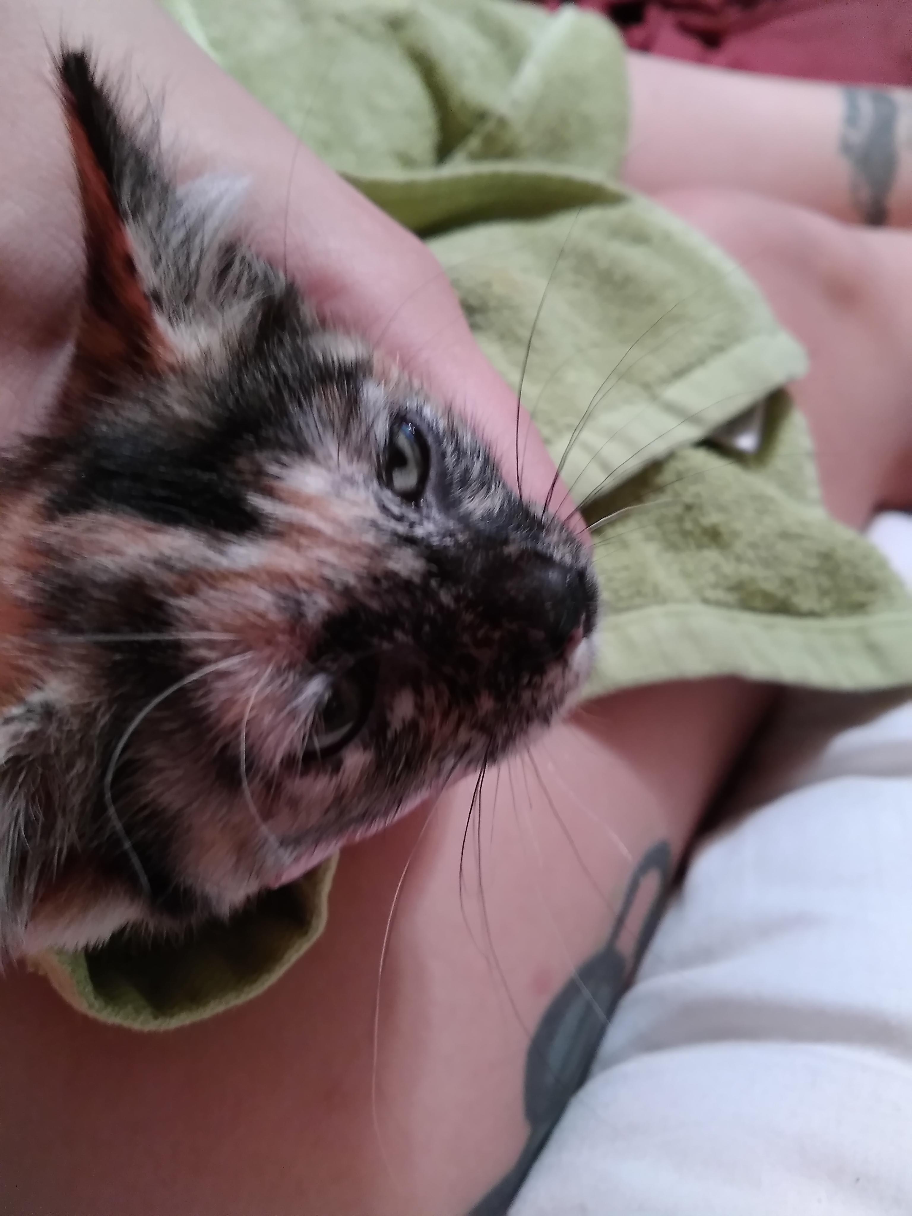 Question details sensitive content