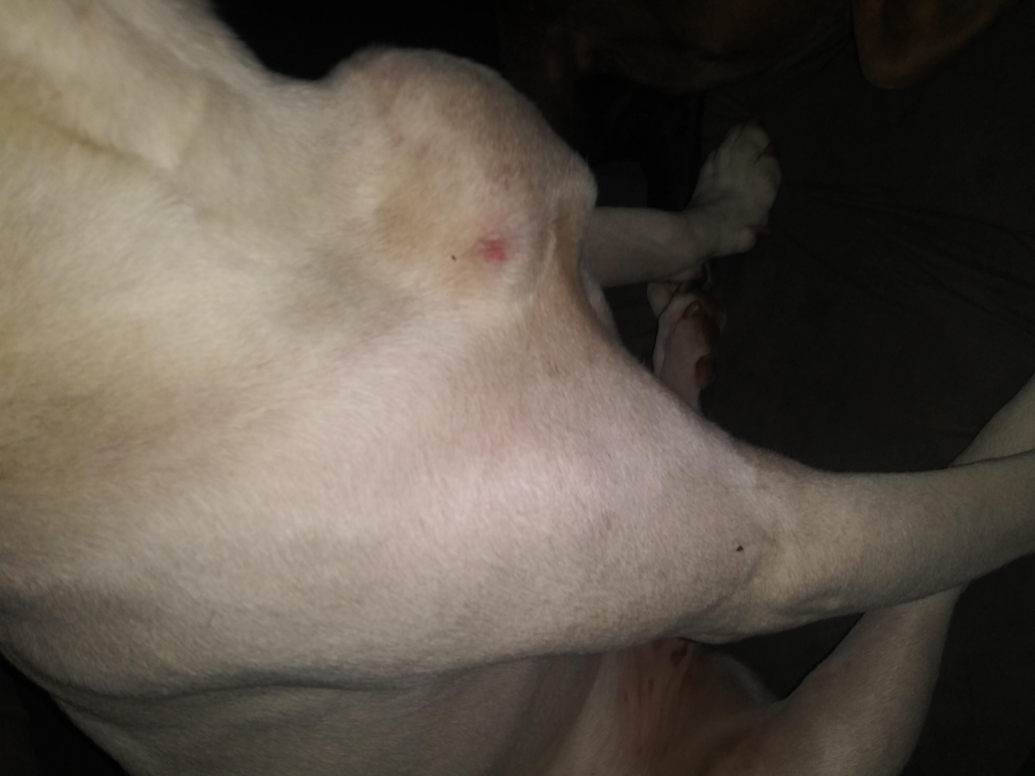 Question details sensitive content