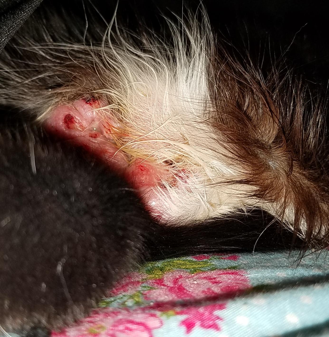 Question details sensitive content