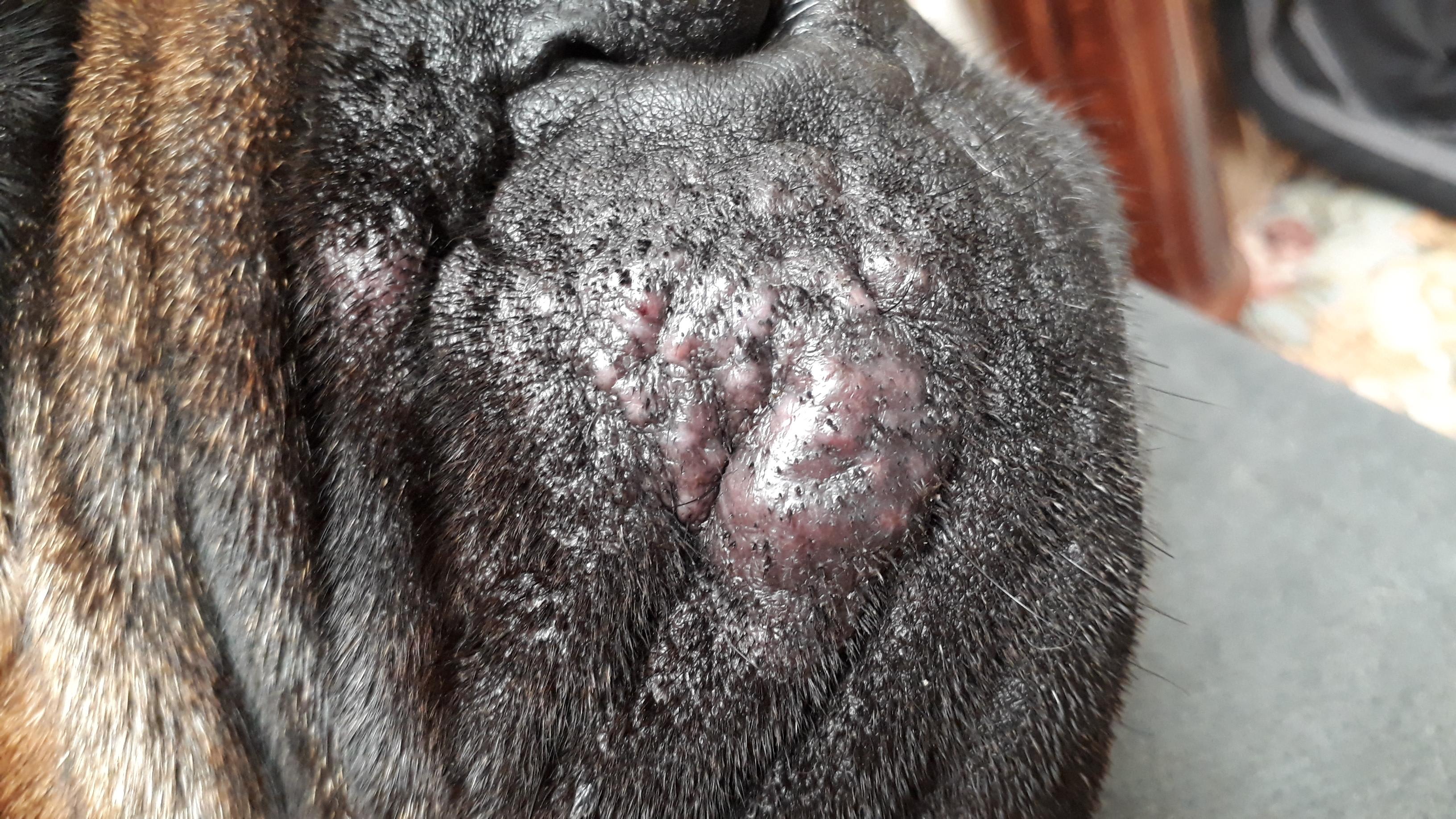 Question details sensitive content