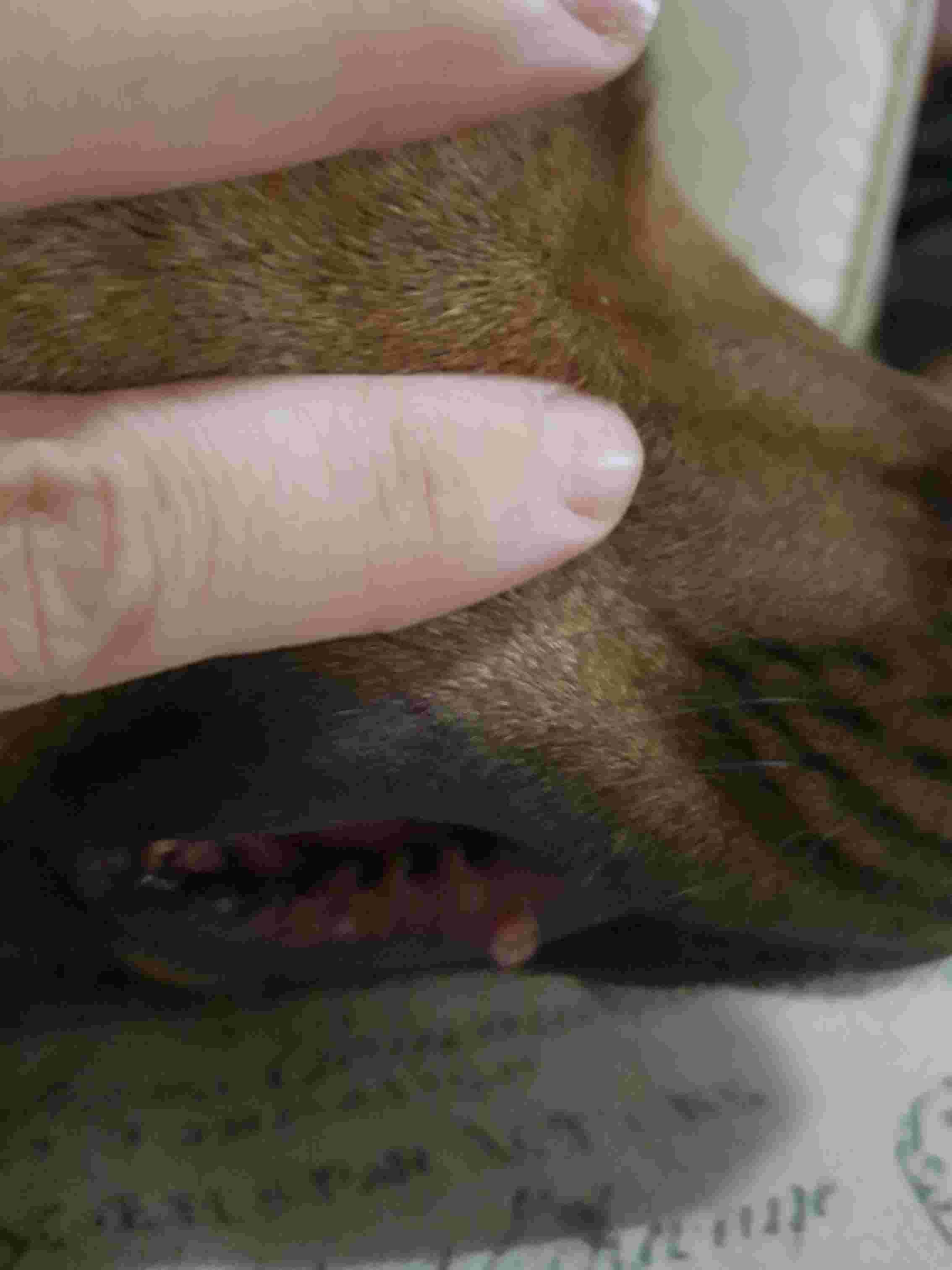 Question details sensitive content