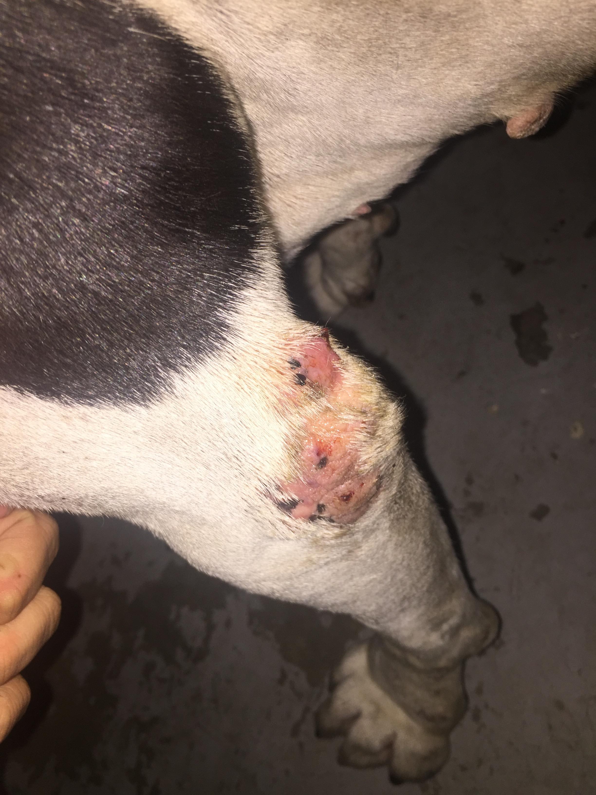 Question details sensitive content