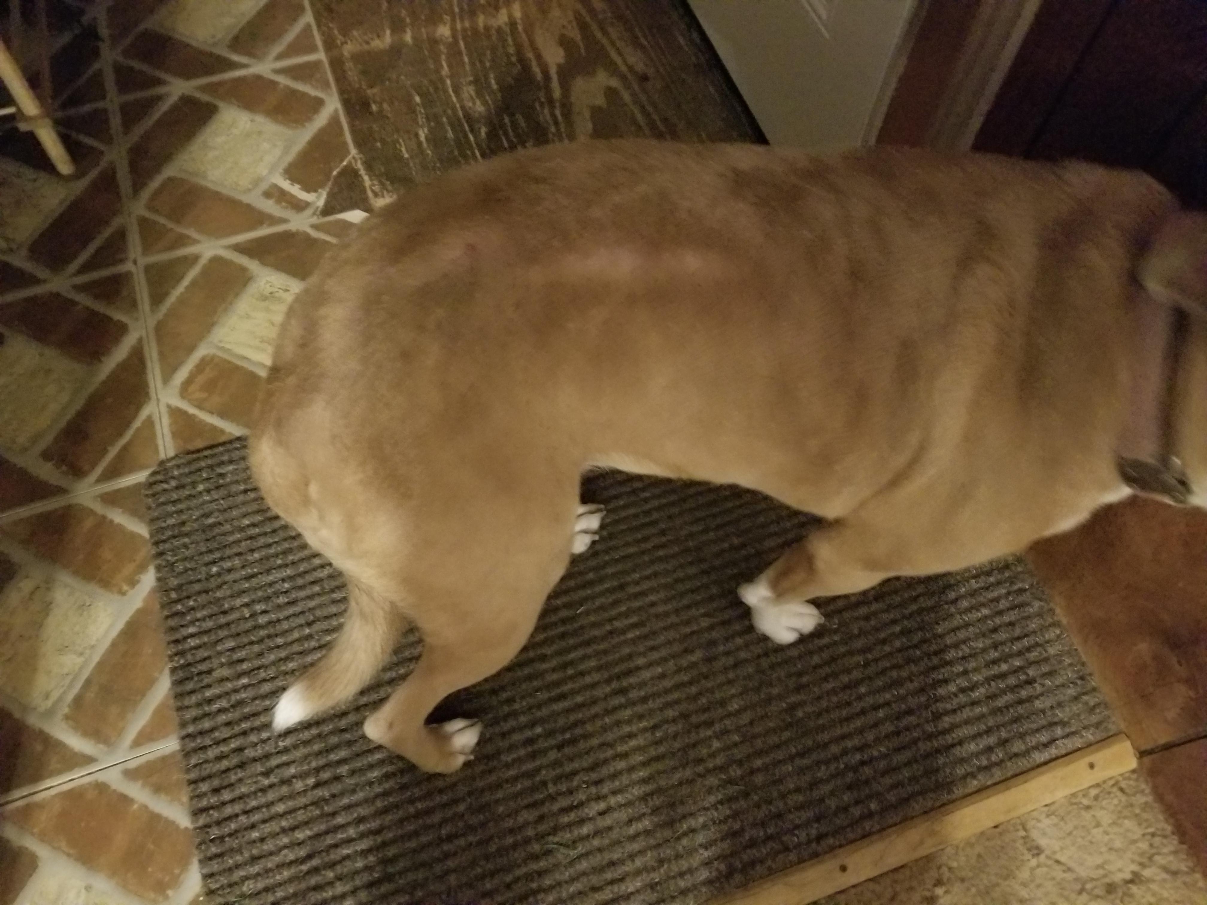 Question details sensitive content