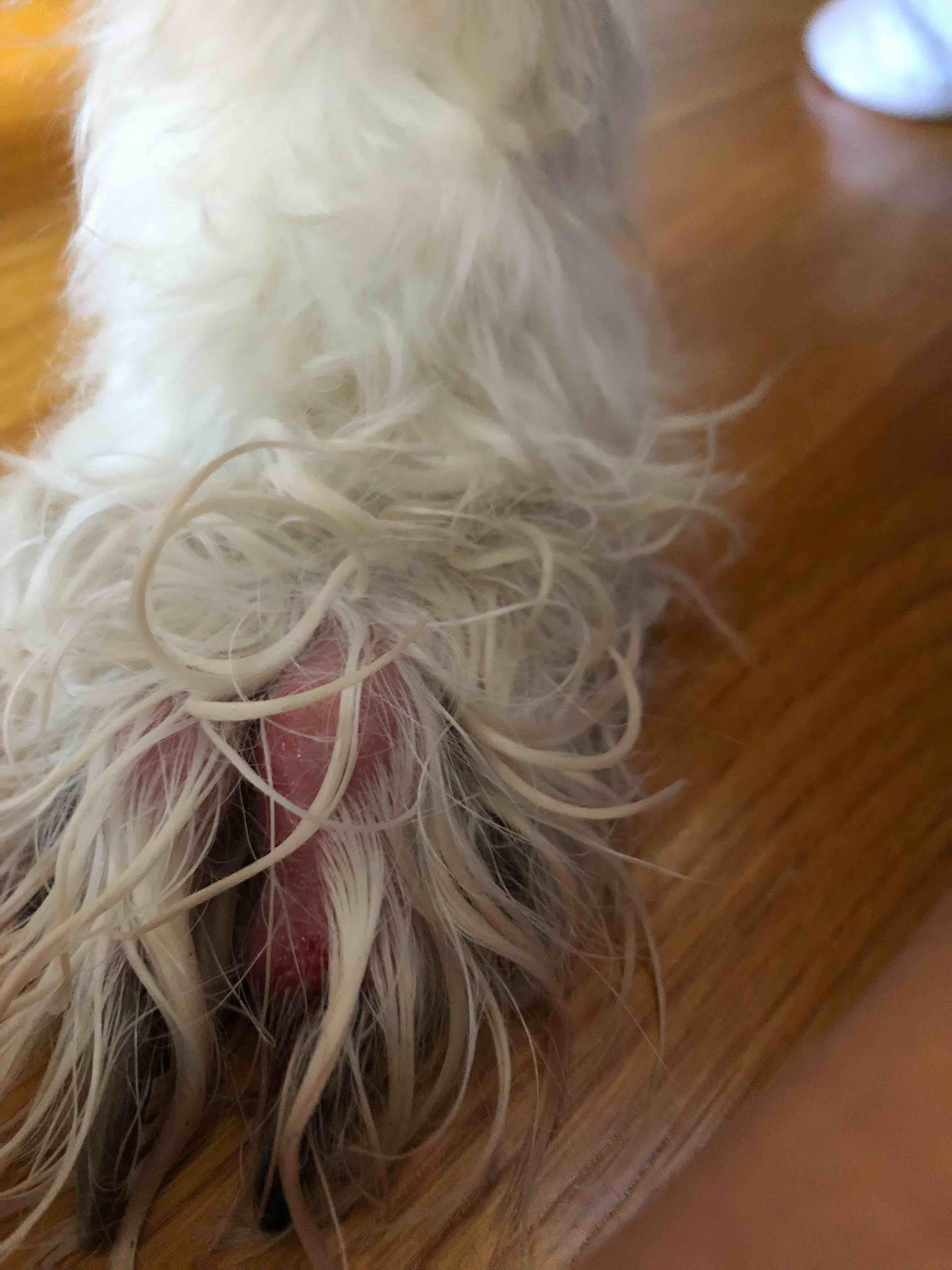 Question details sensitive content