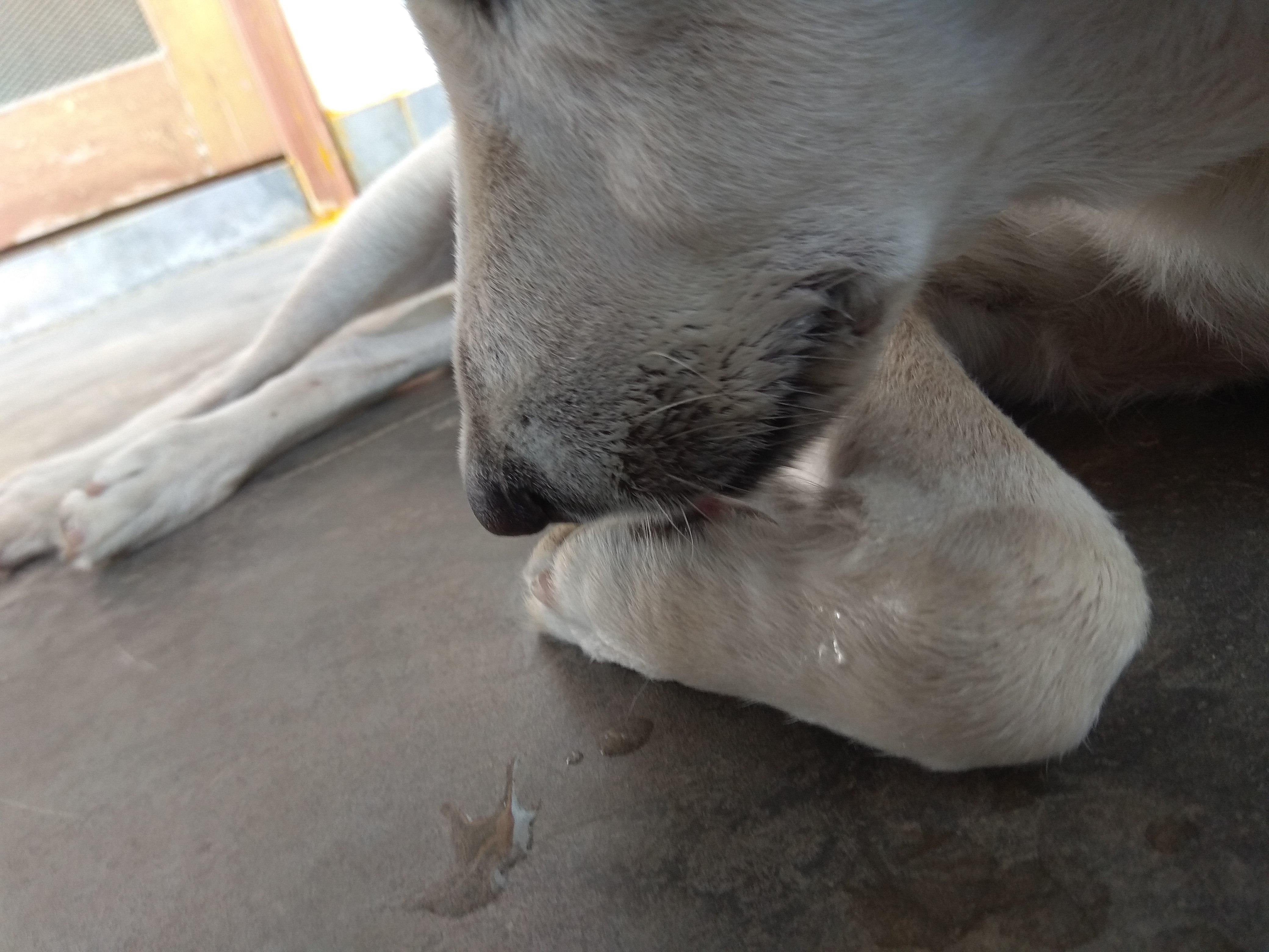 Question details sensitive content