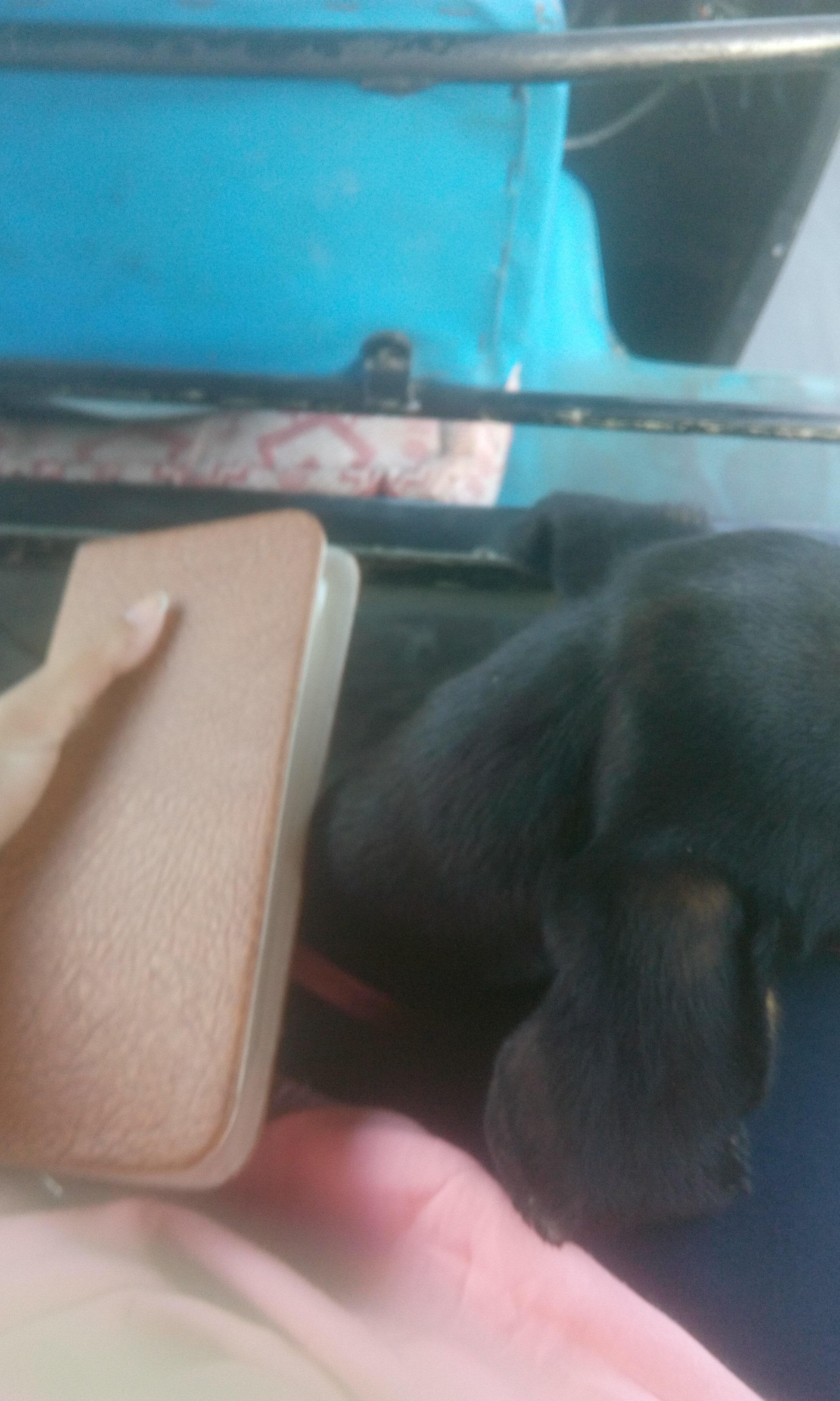 Question details sensitive content