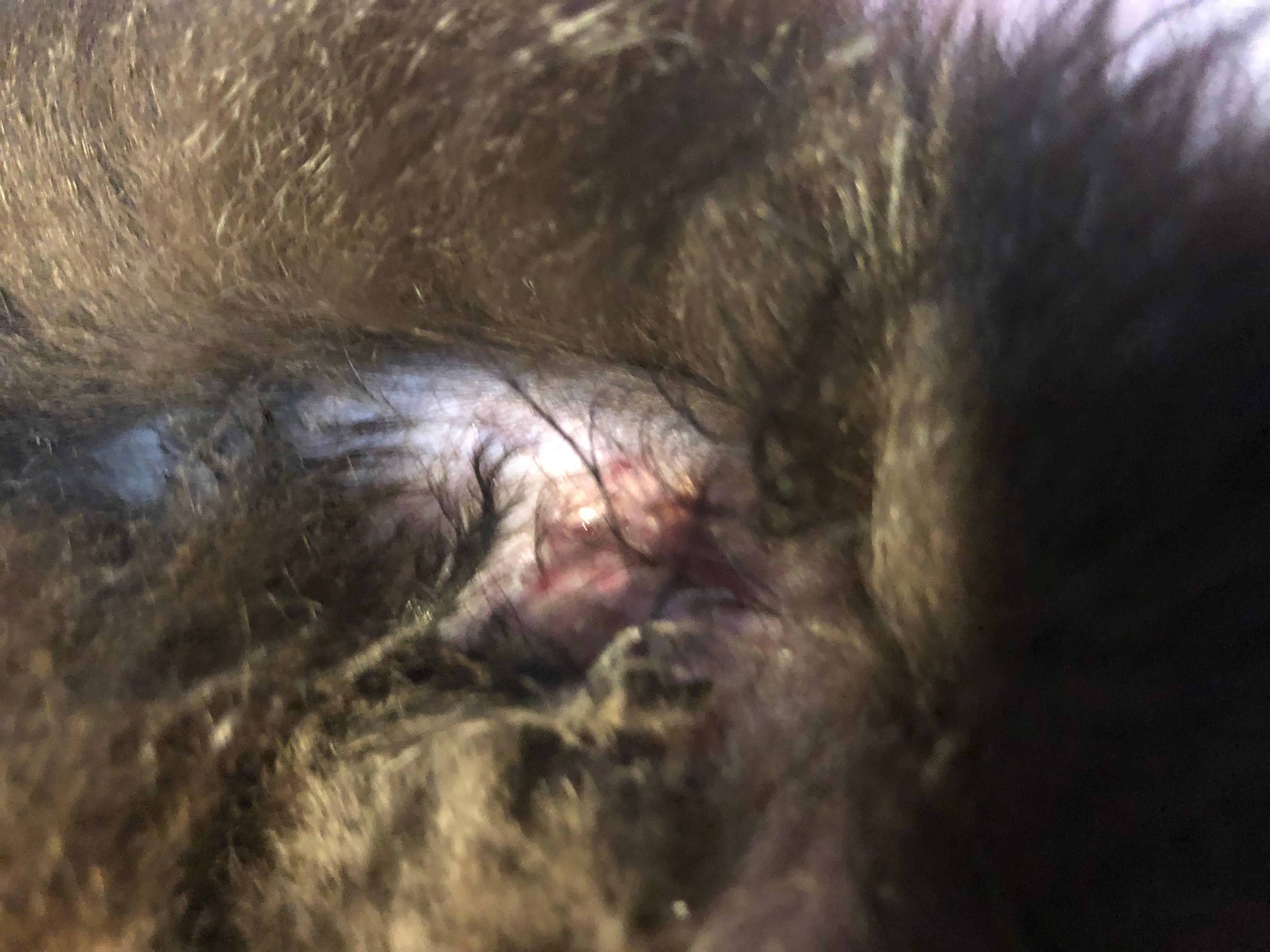 Question details sensitive content