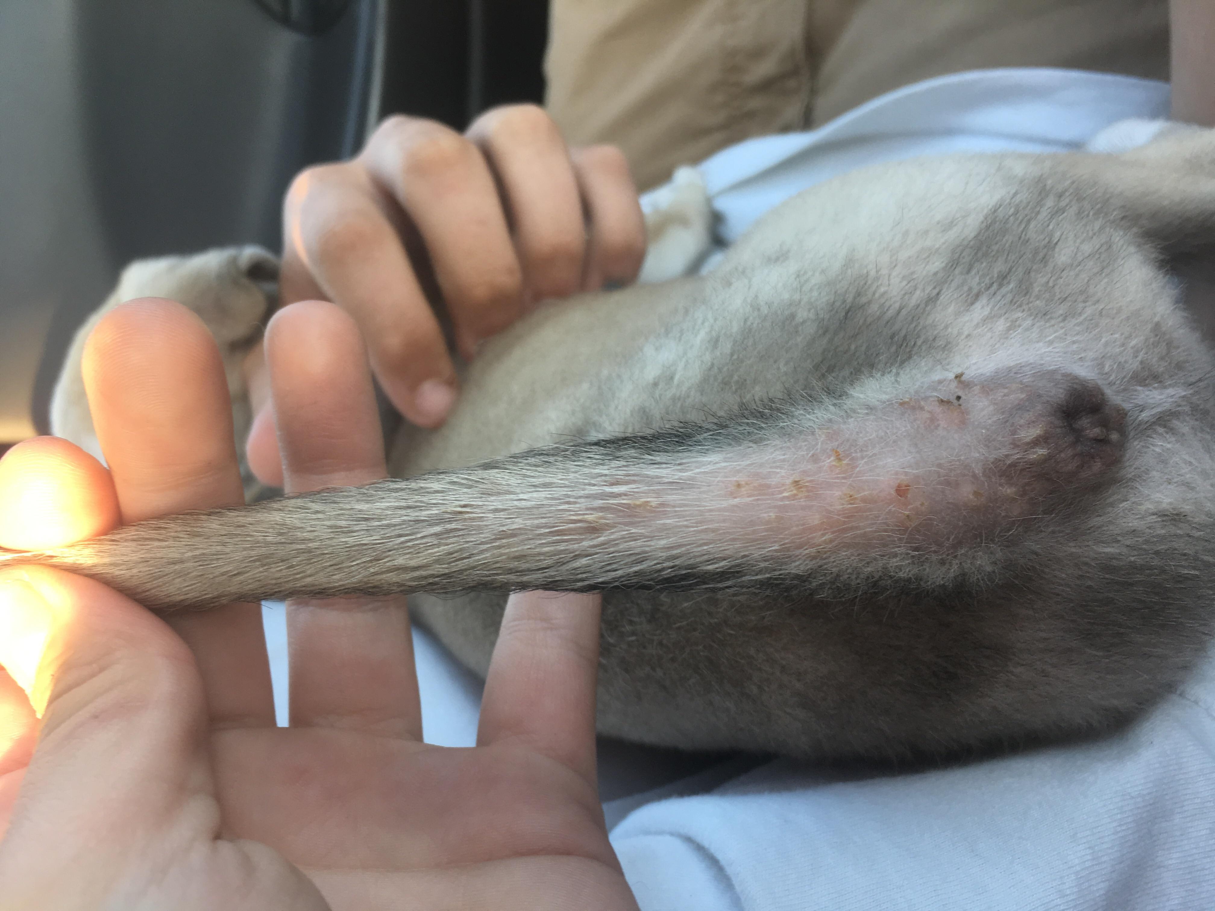 Question details sensitive content