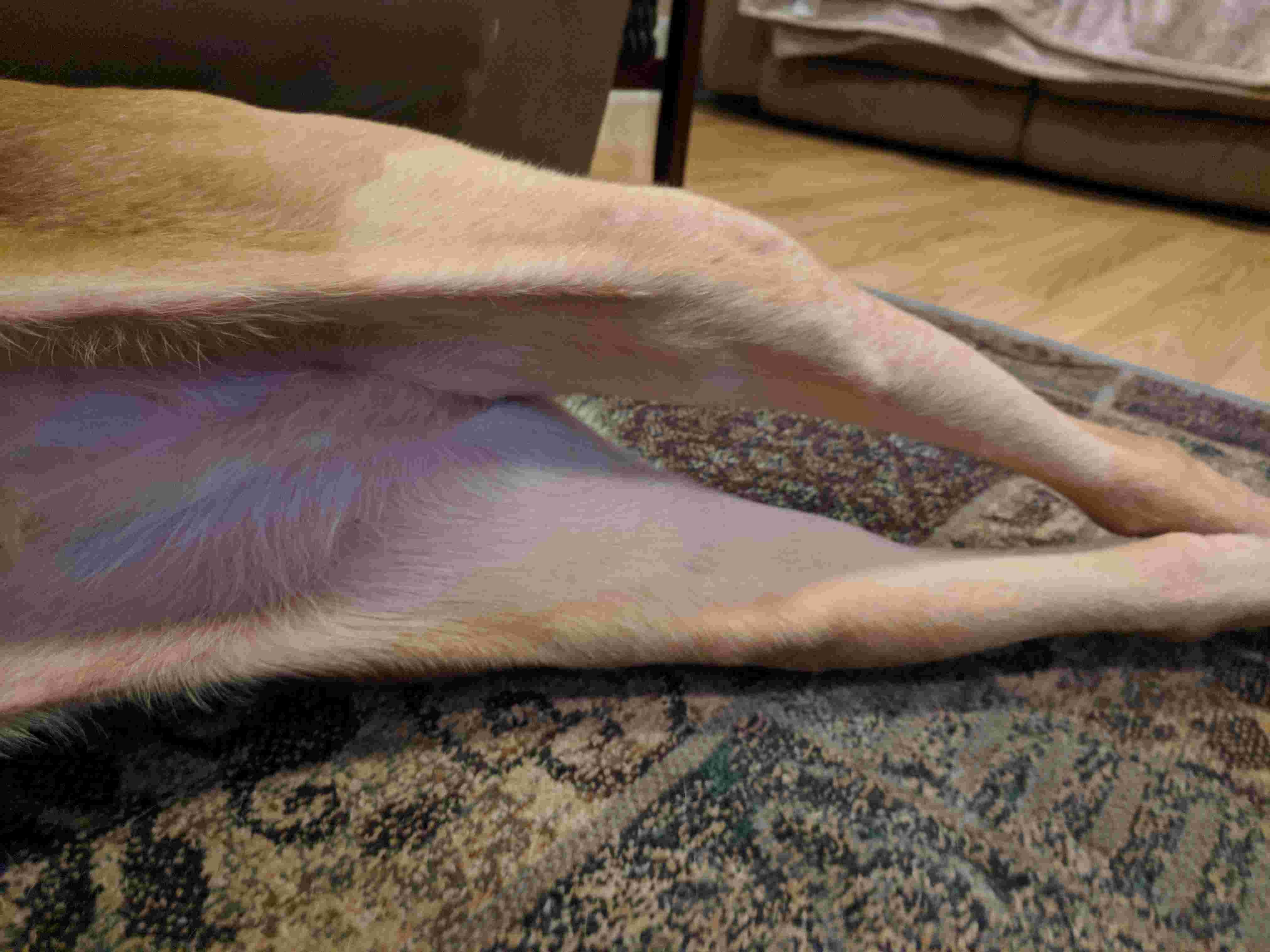 Question details sensitive content