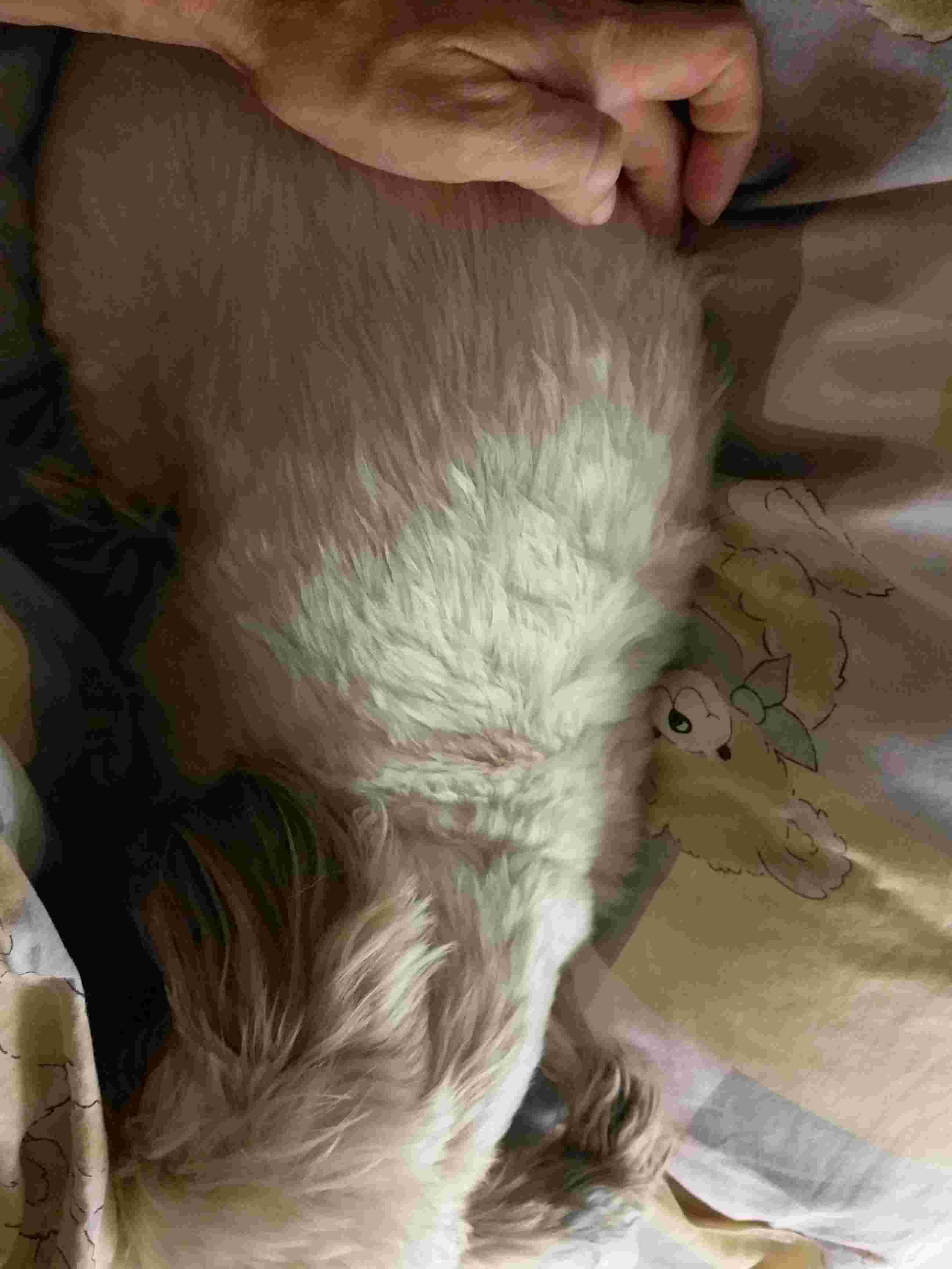 Question details sensitive content