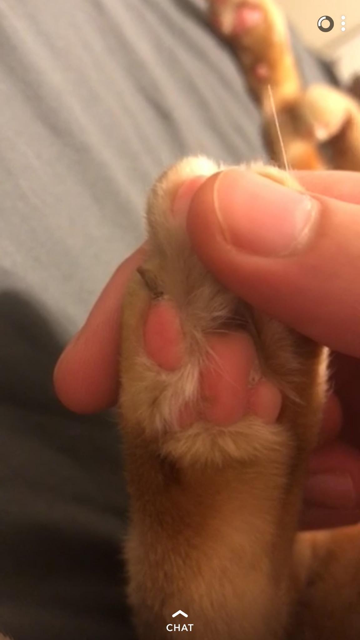 Question details sensitive content