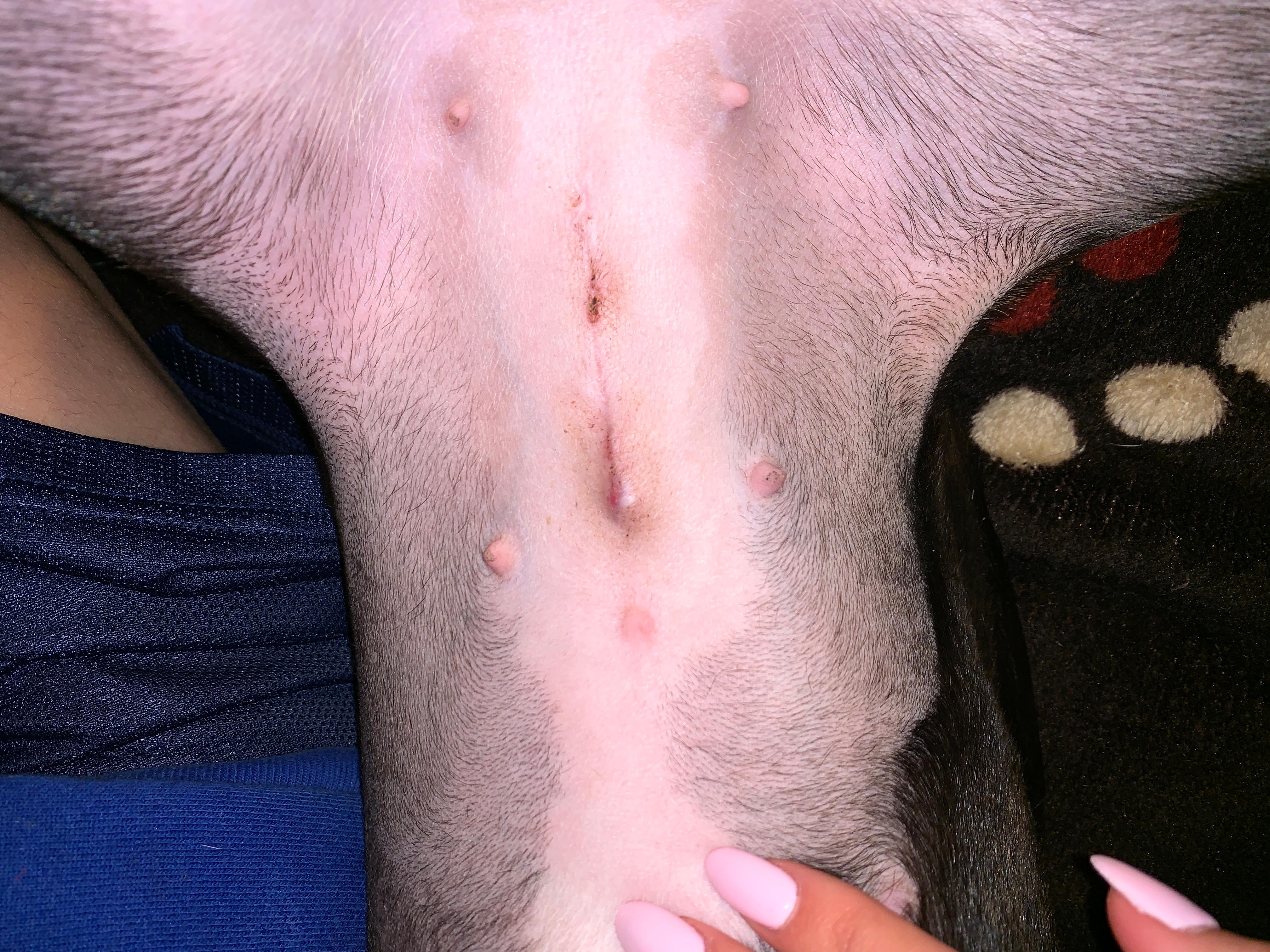 Question details sensitive content