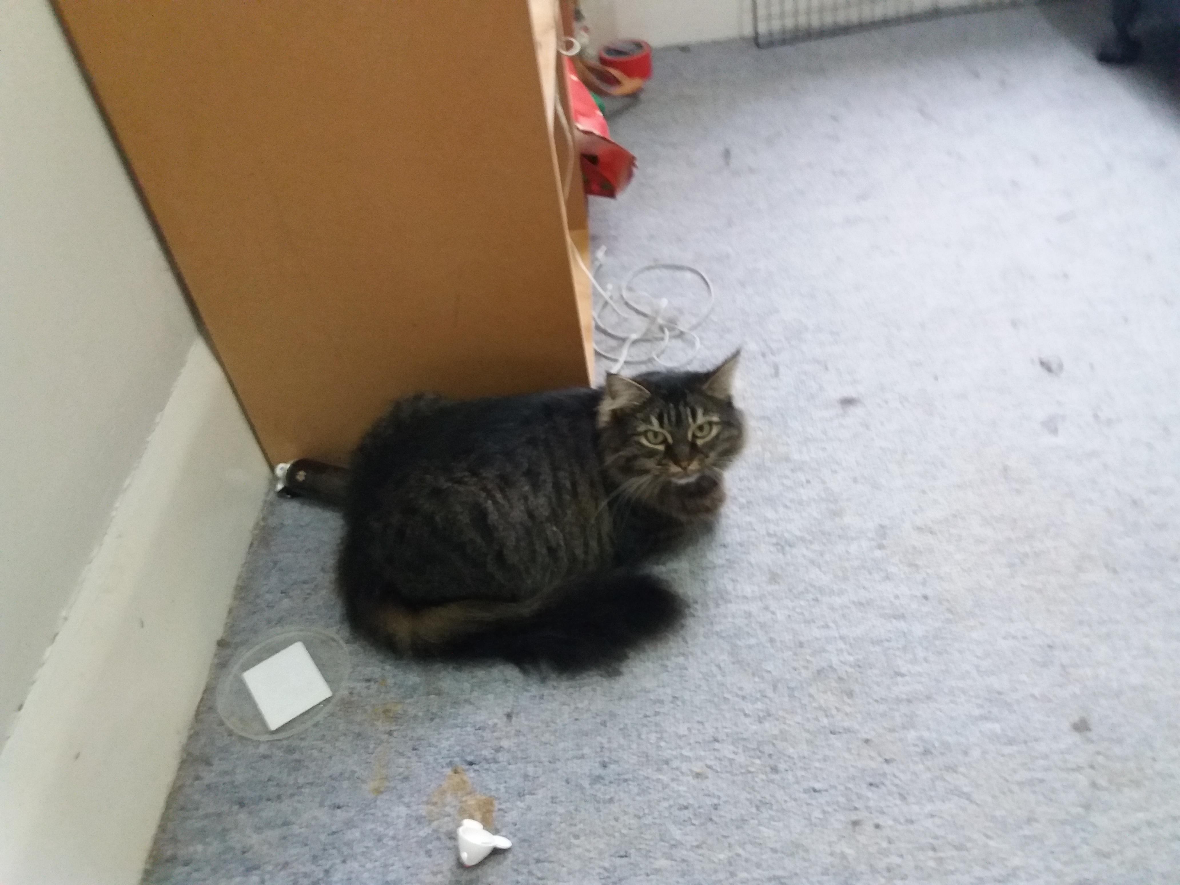 Question details sensitive content