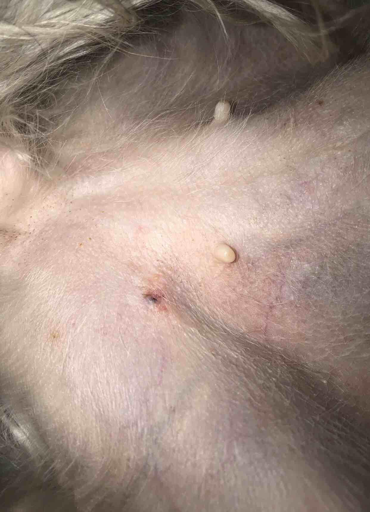 Question details sensitive content