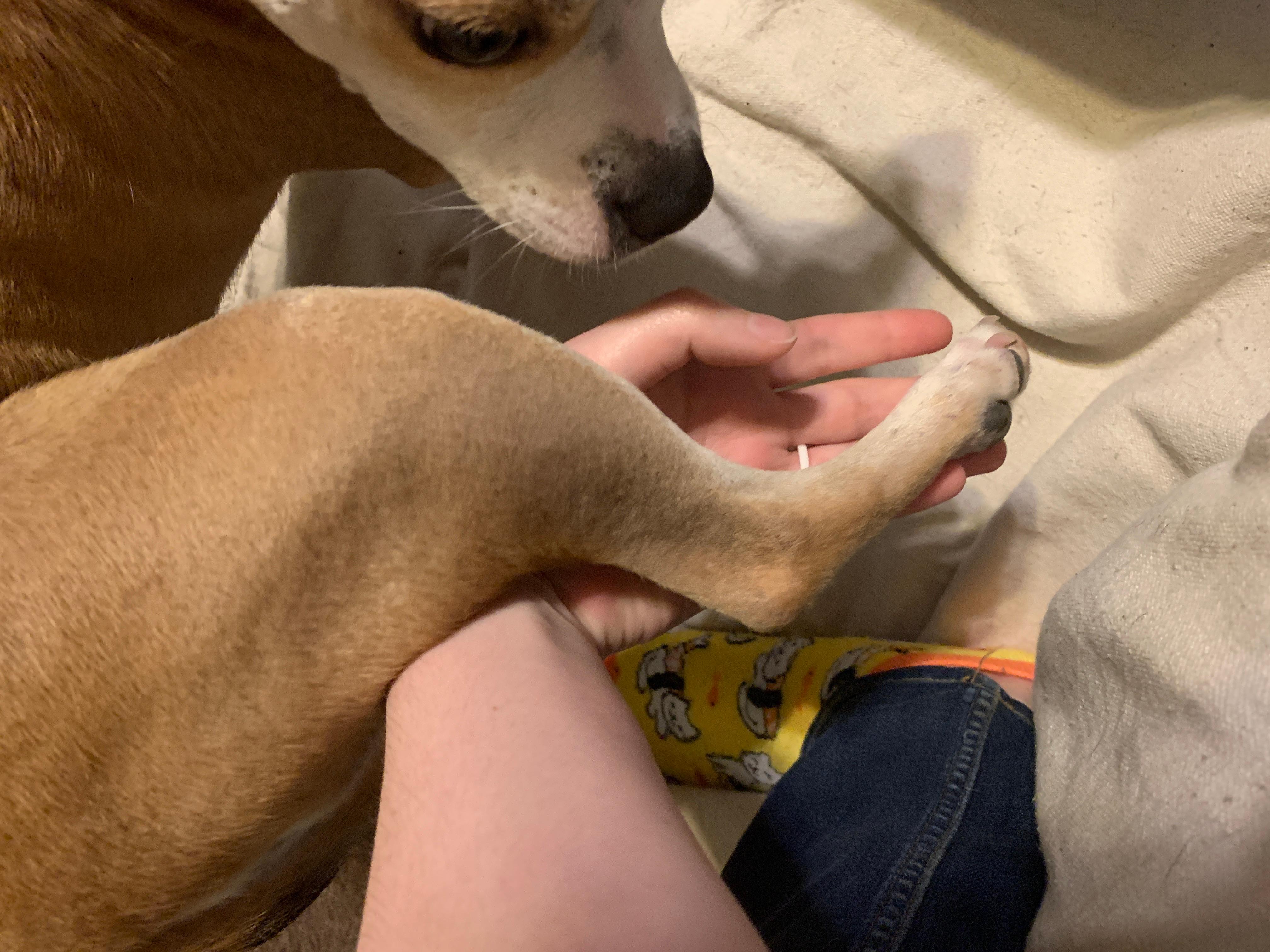 Question details sensitive content