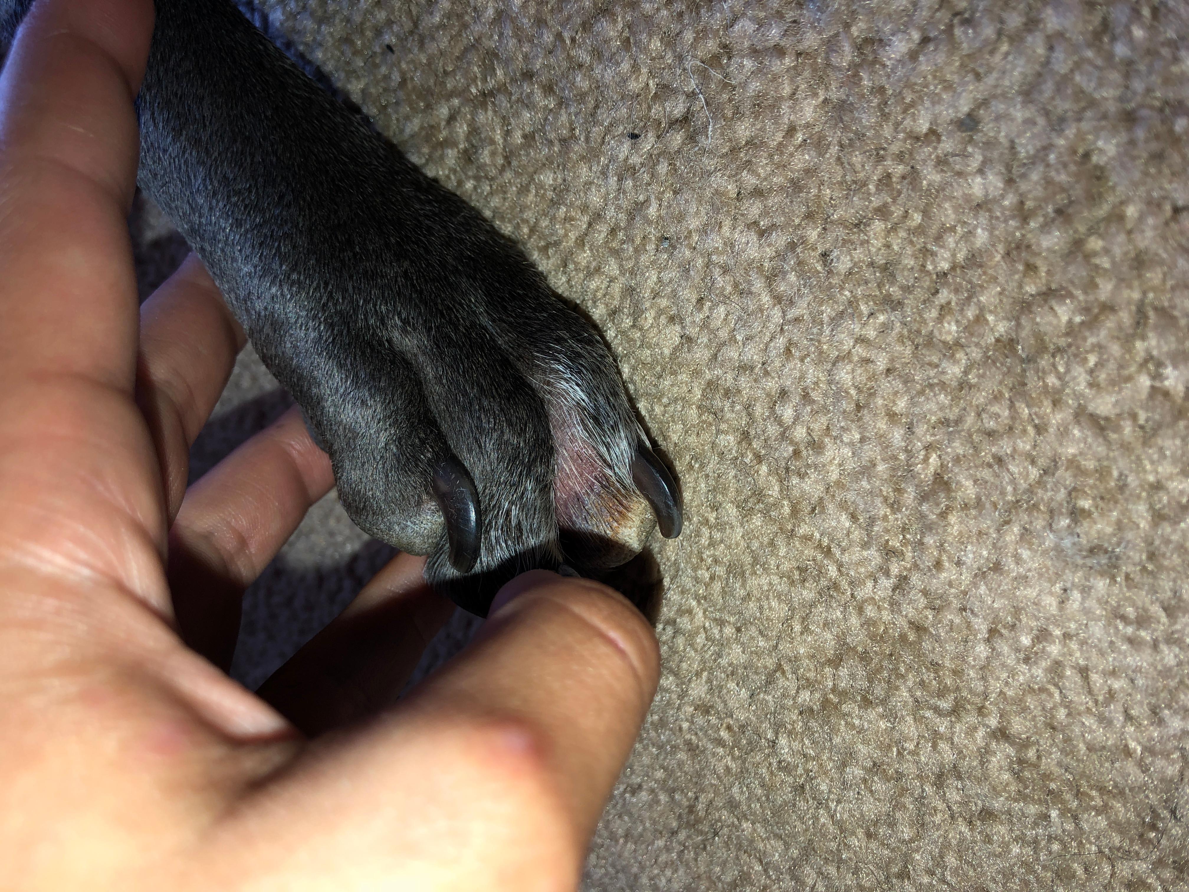 Question details sensitive content