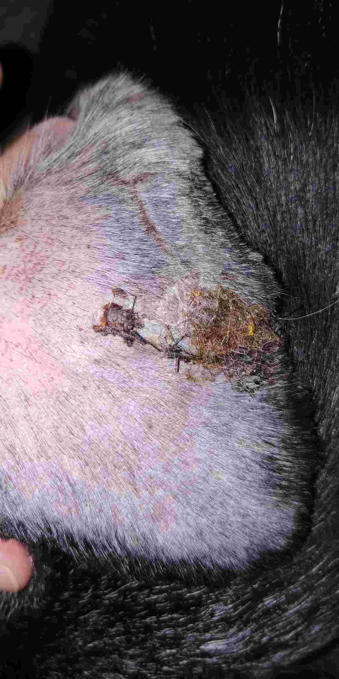 Question details sensitive content