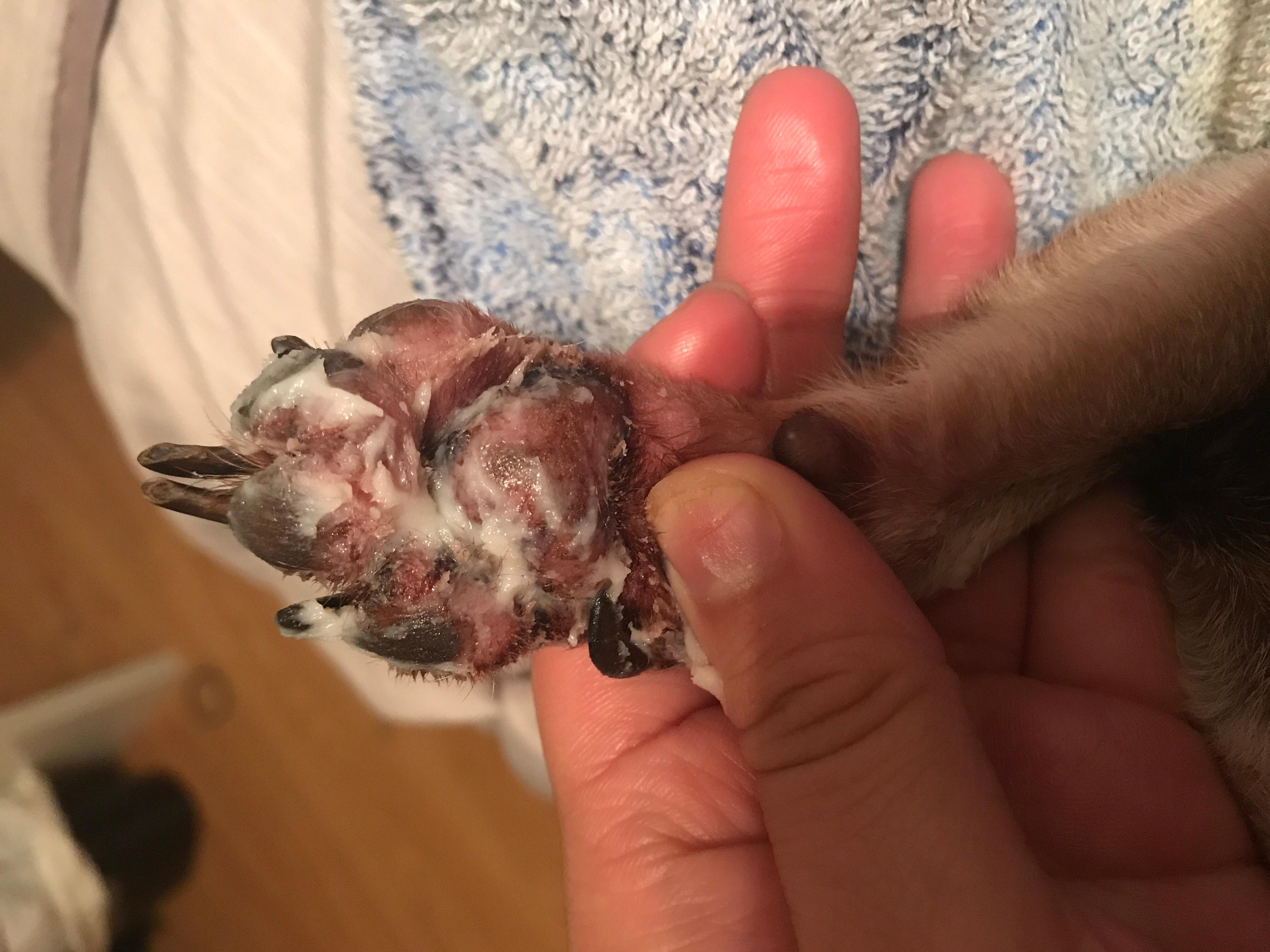 Question details sensitive content