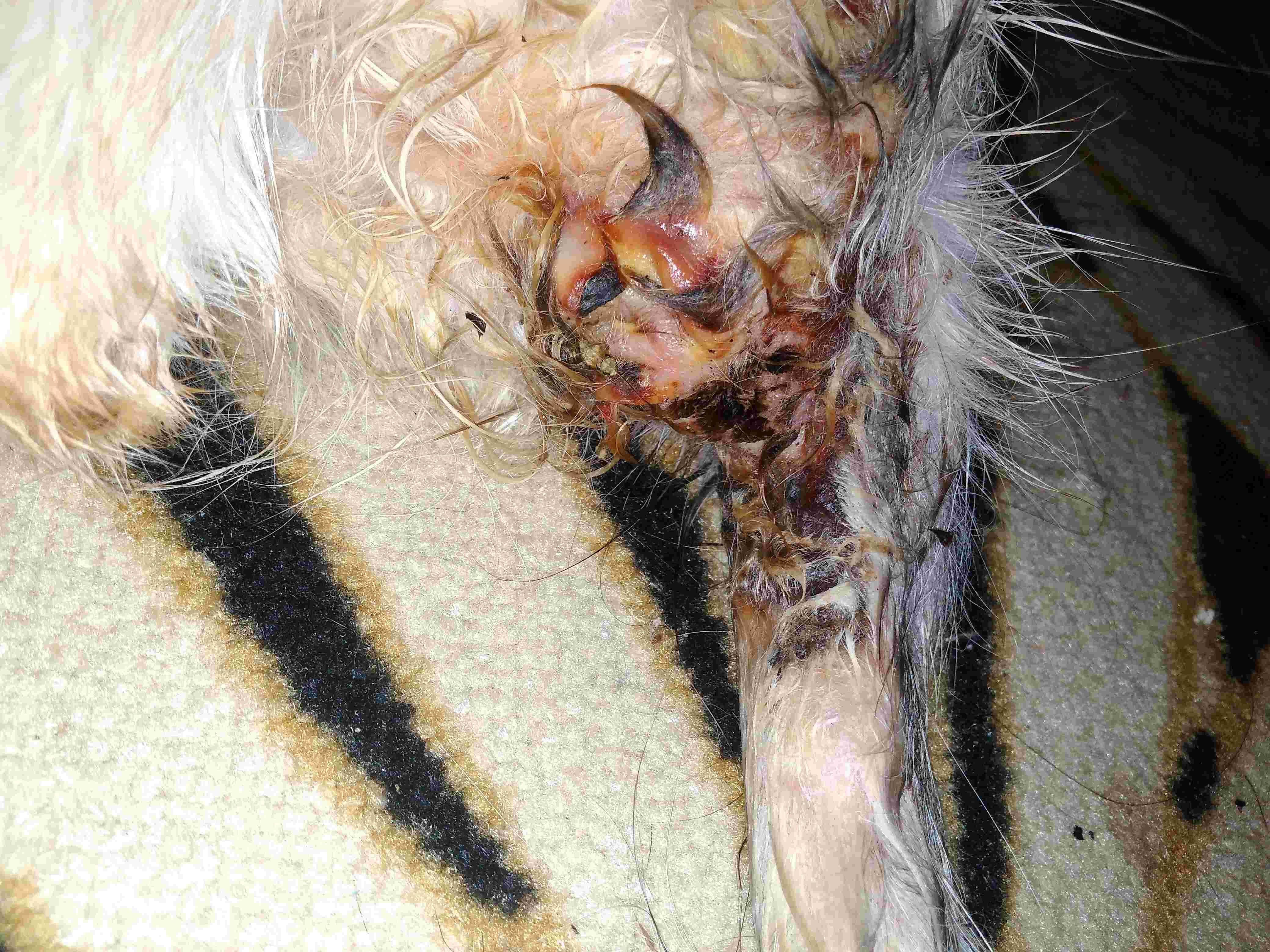 Question details sensitive content