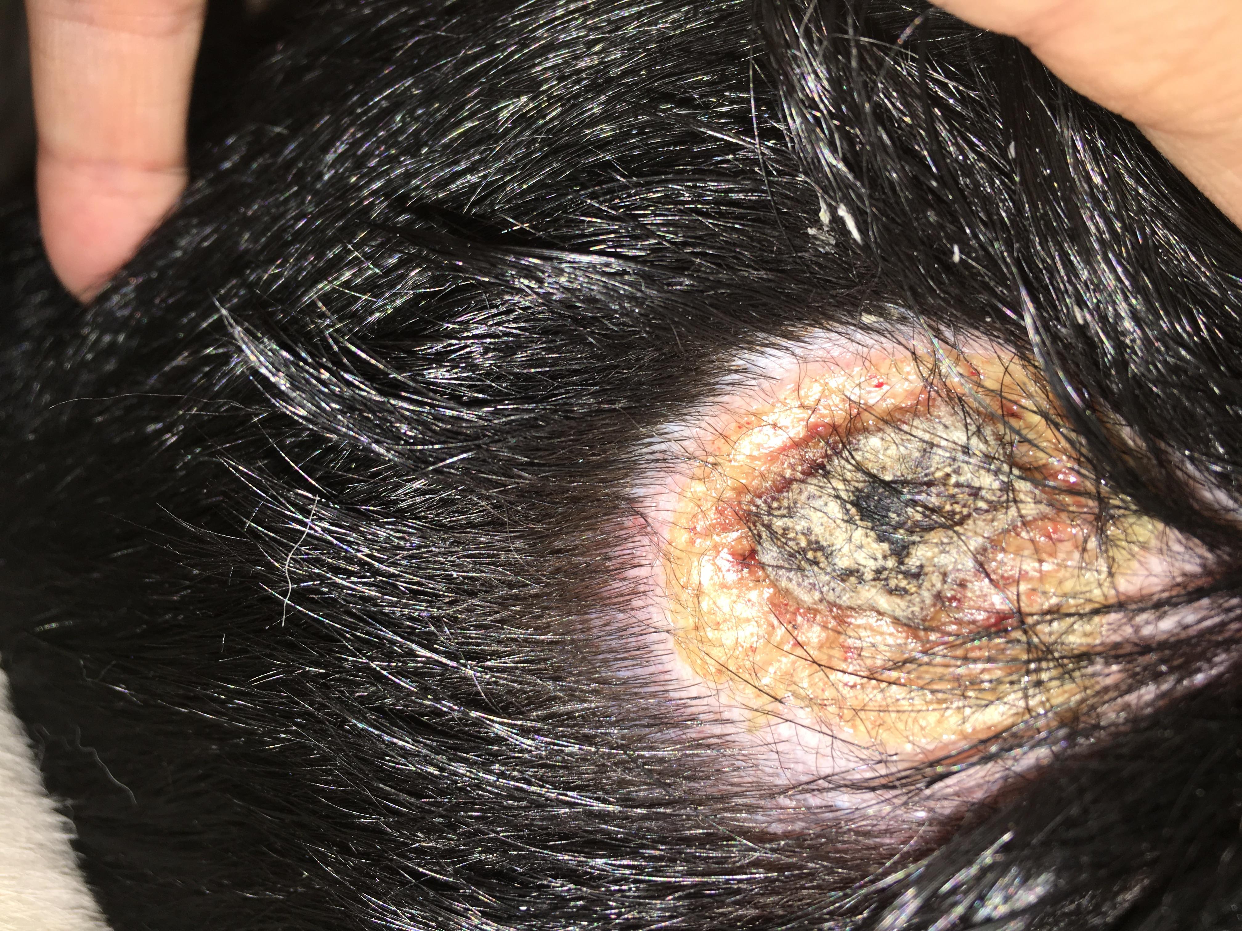 Question details sensitive content