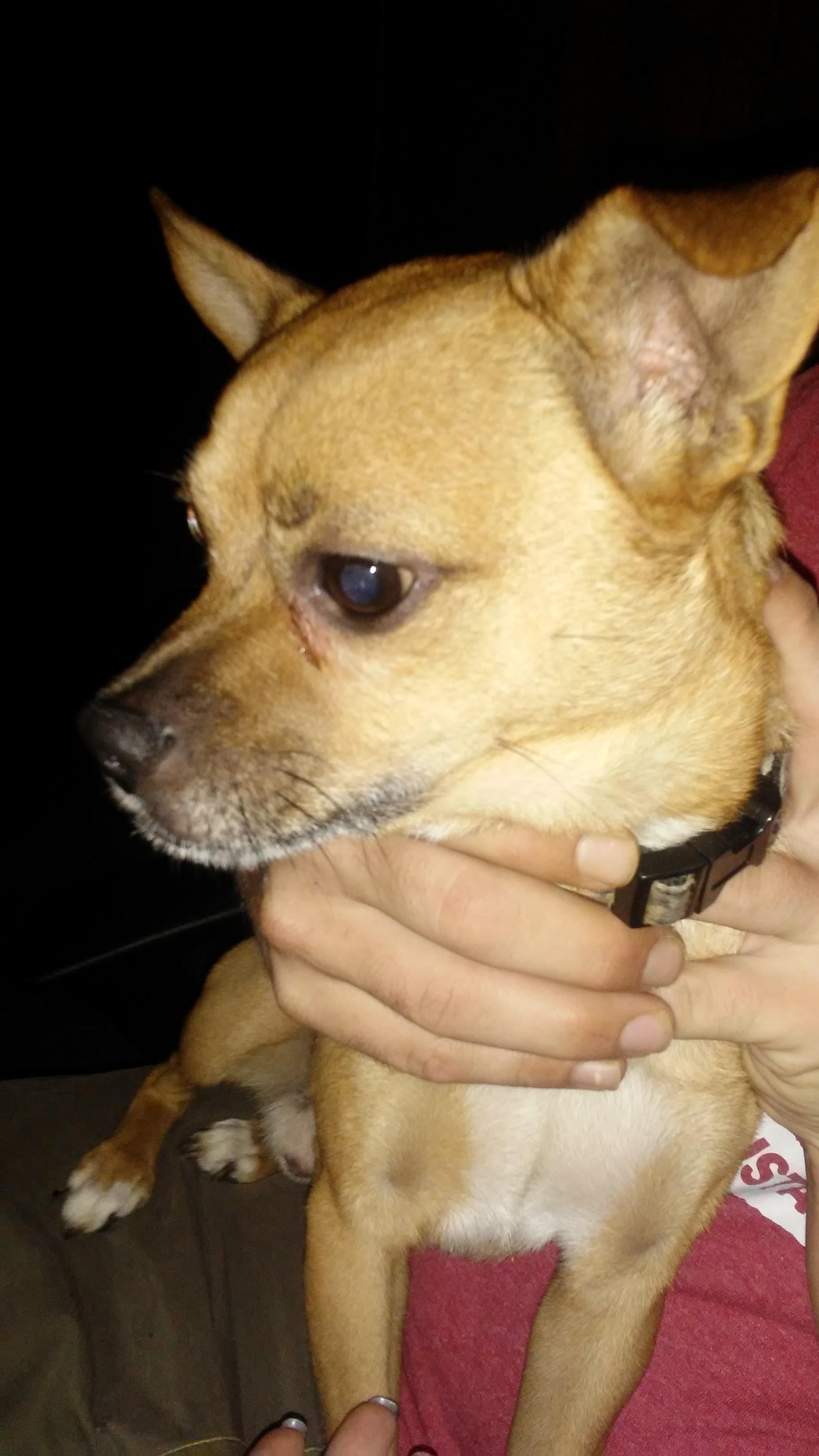 Question details sensitive content