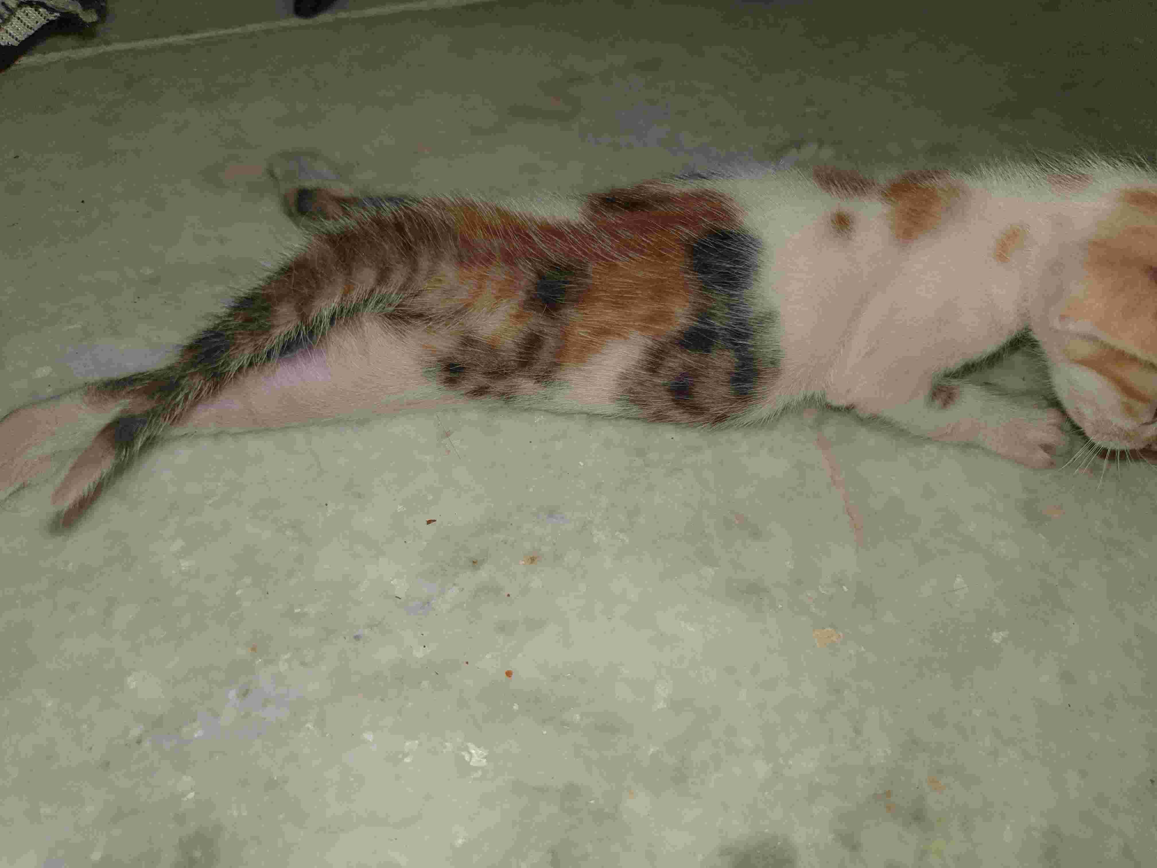 Question details sensitive content