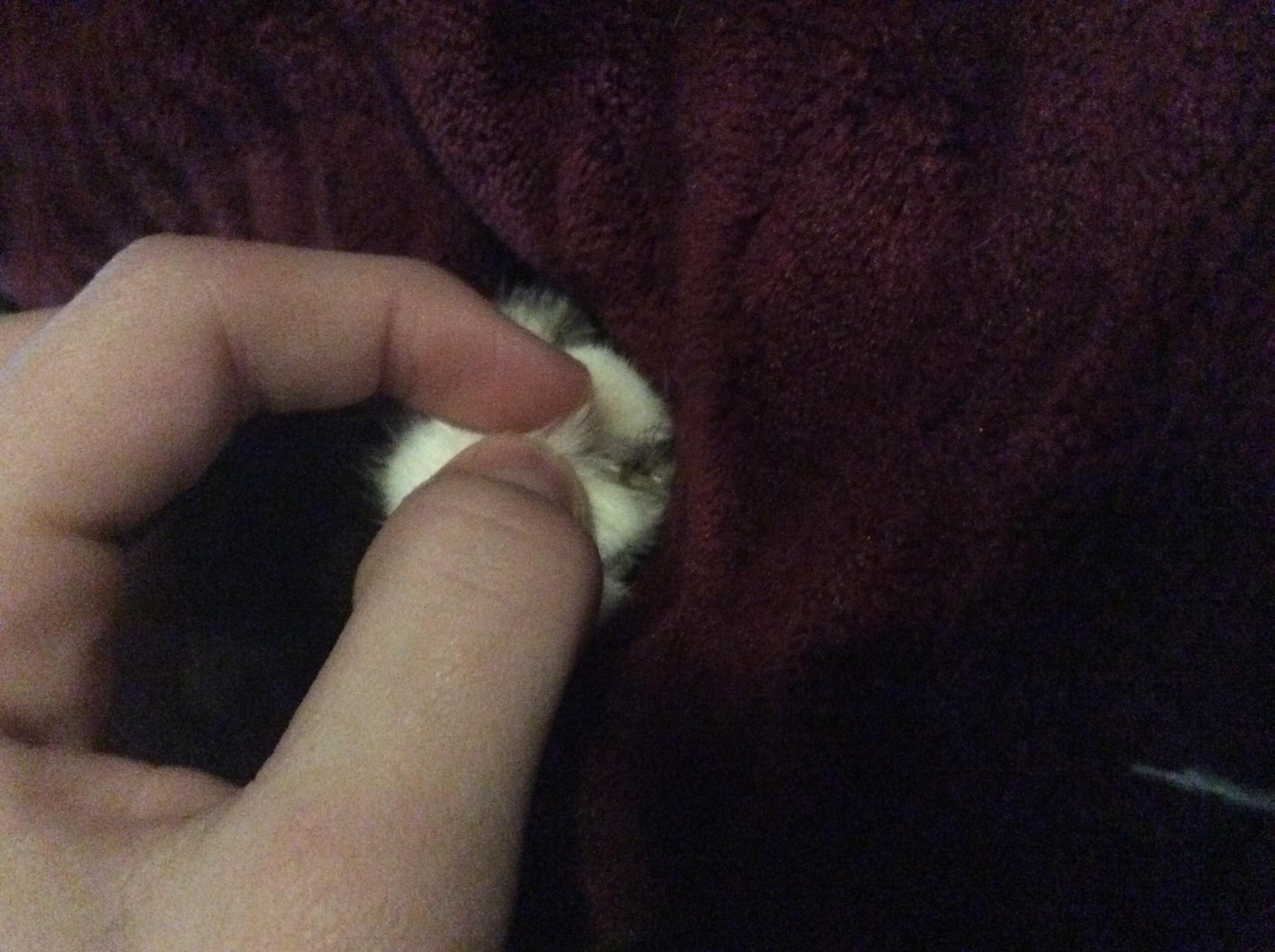 Question details sensitive content