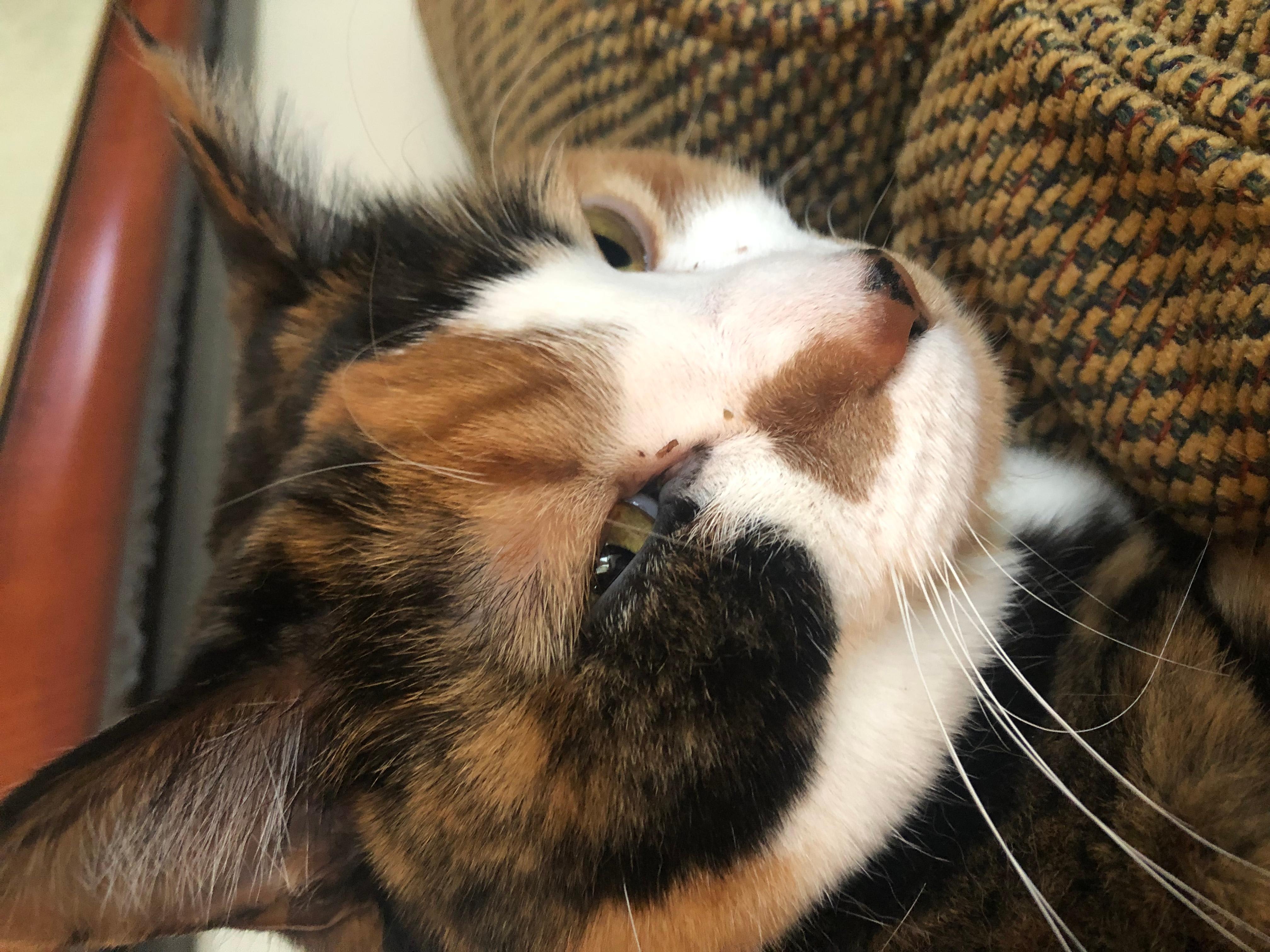 Question details sensitive content