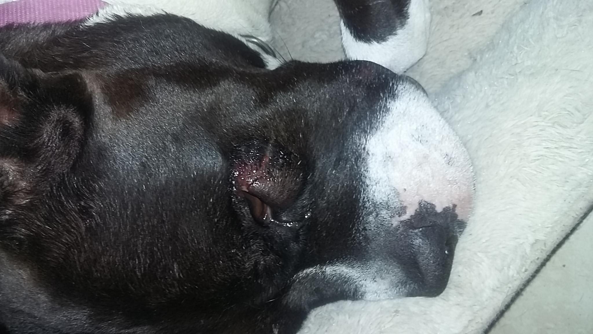 Question details sensitive content