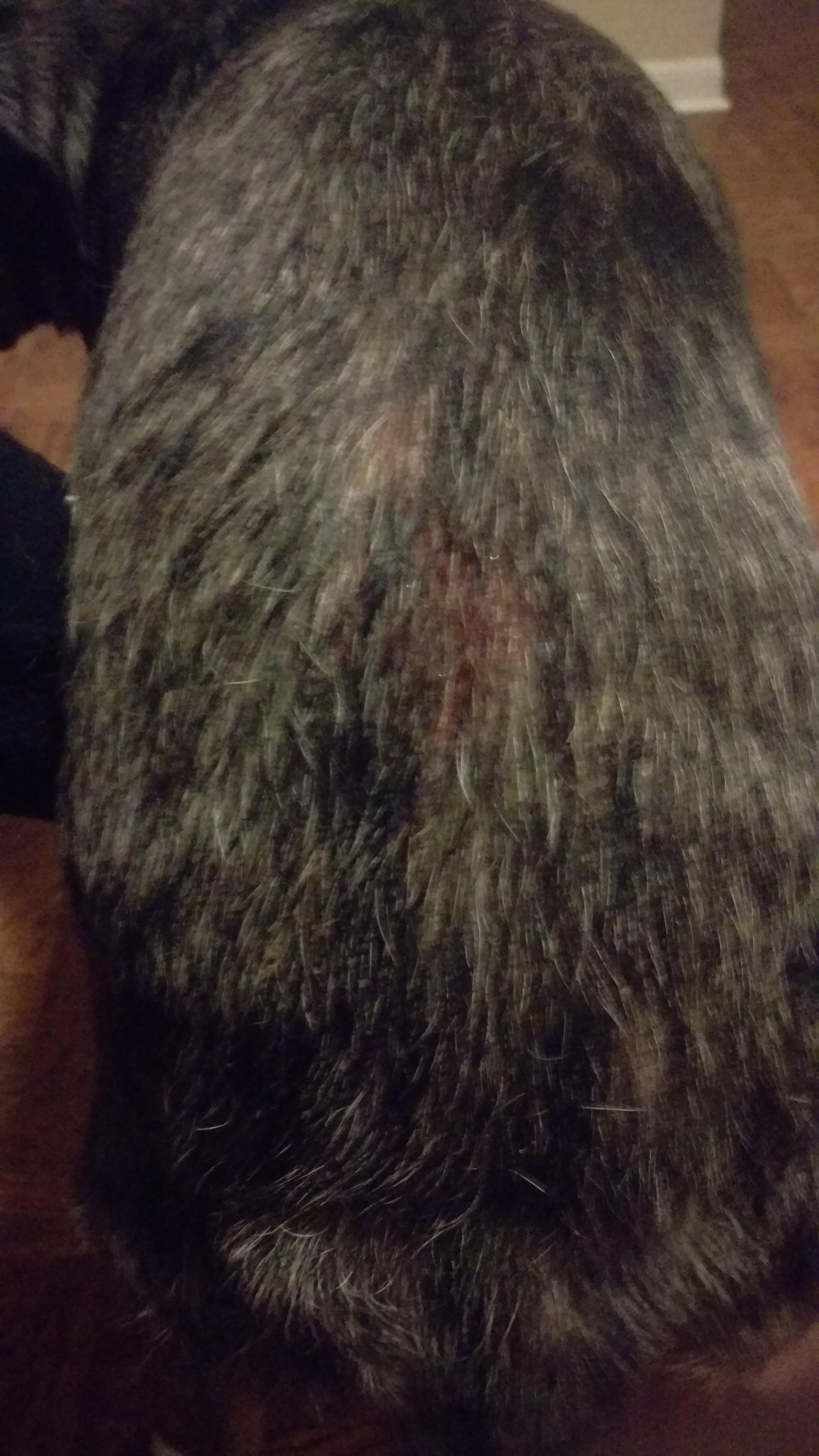 Question details sensitive content