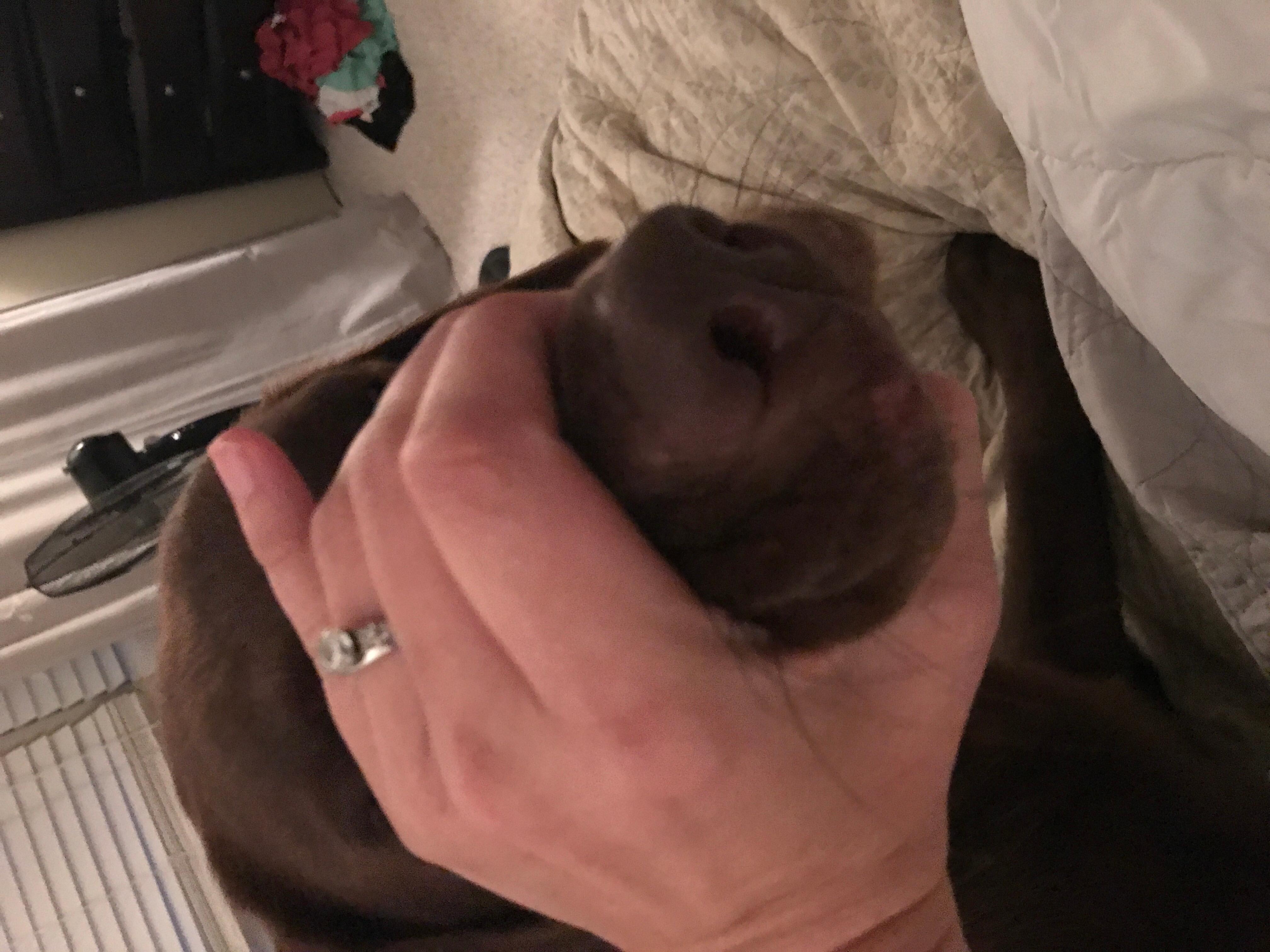 Question details sensitive content