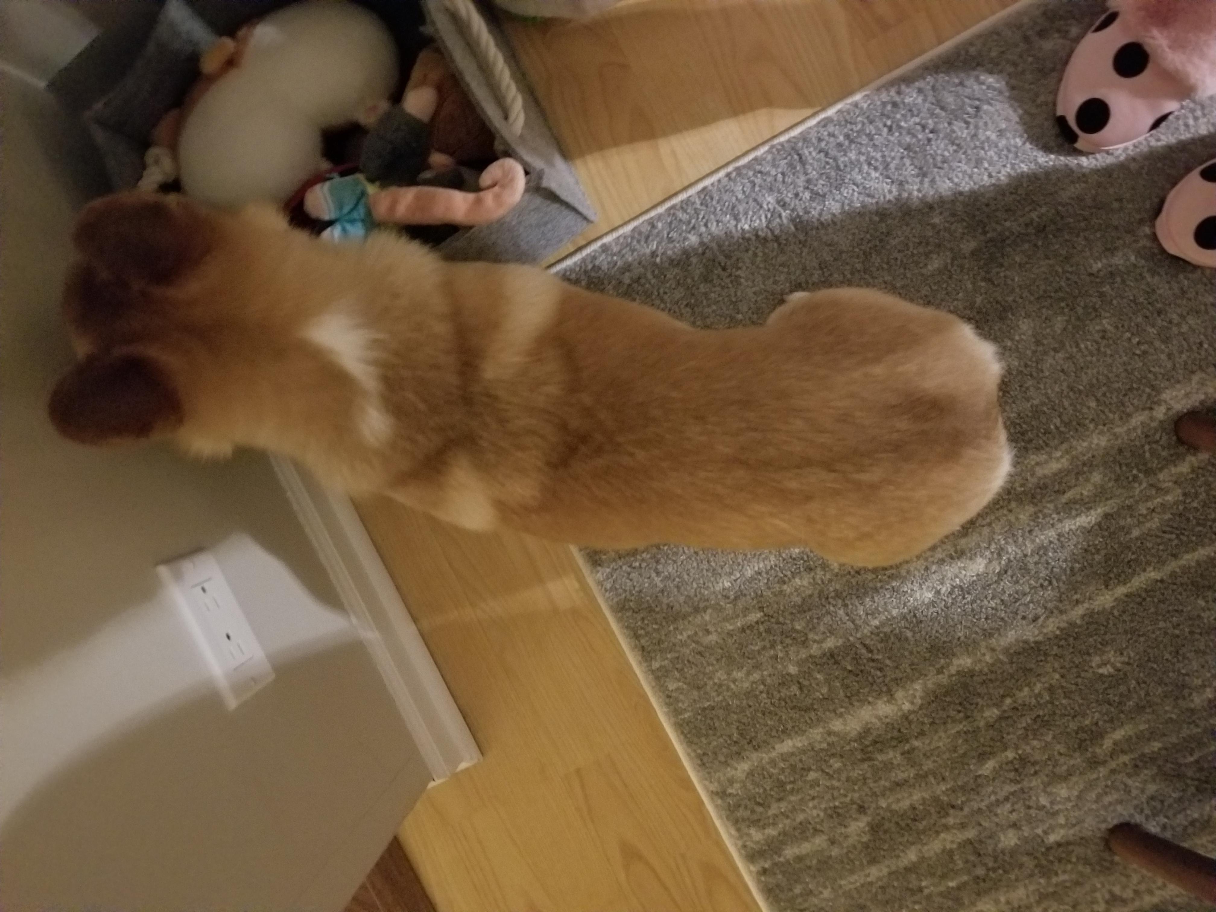 Question details sensitive content