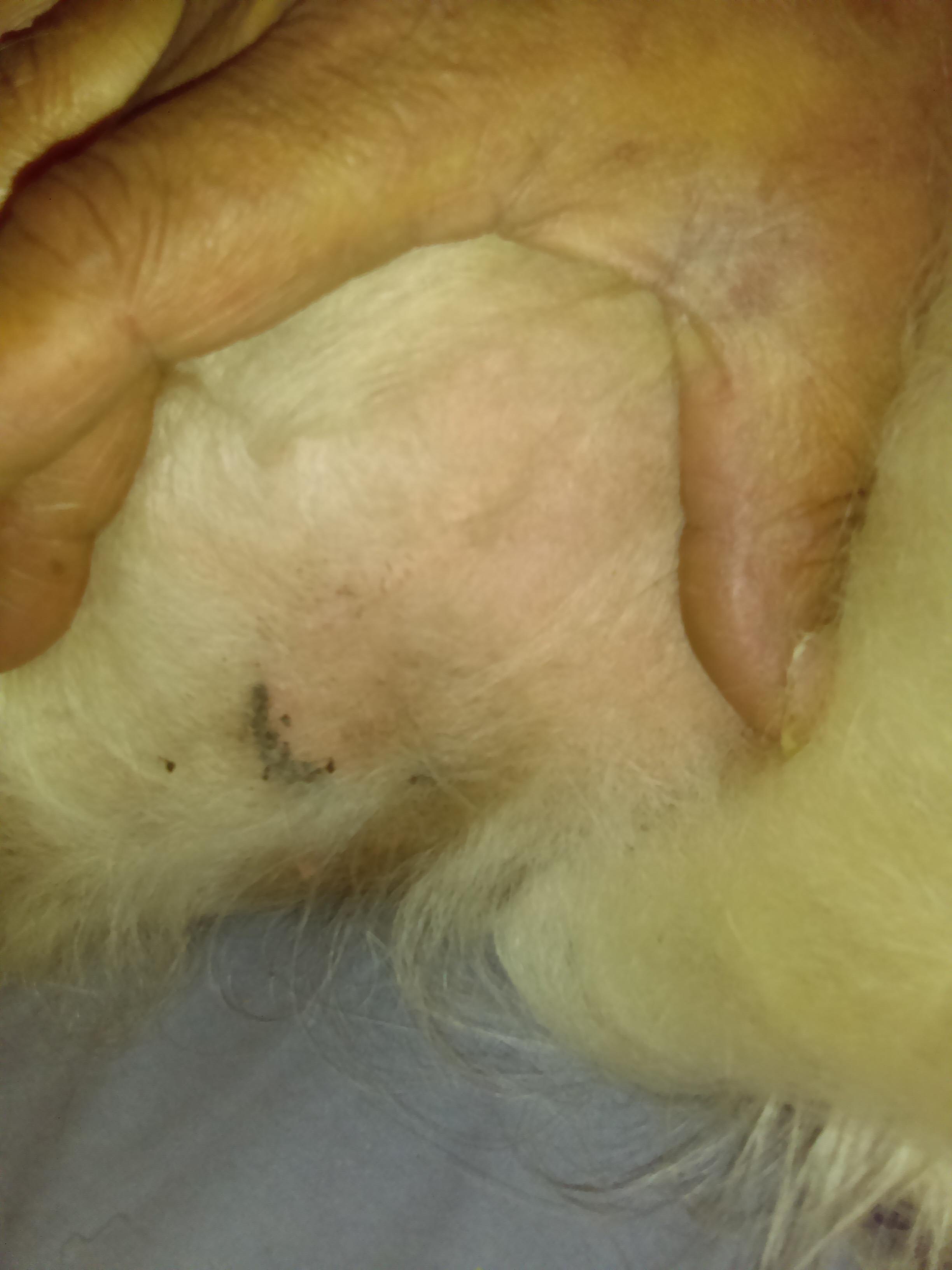 Question details sensitive content