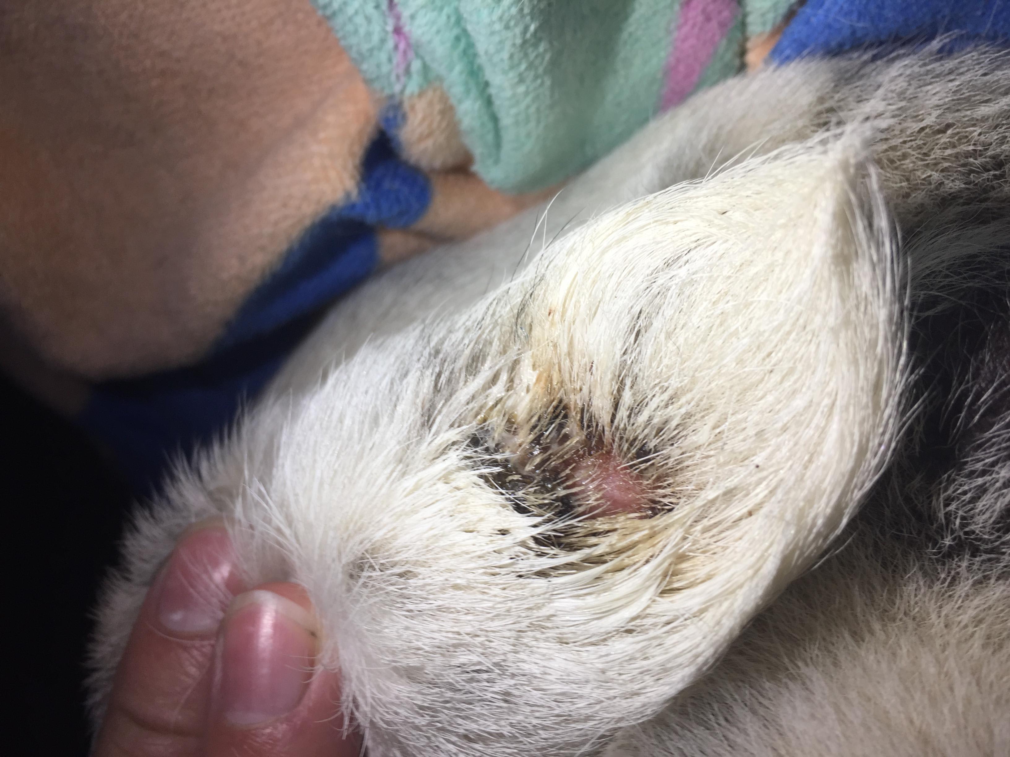 Question details sensitive content