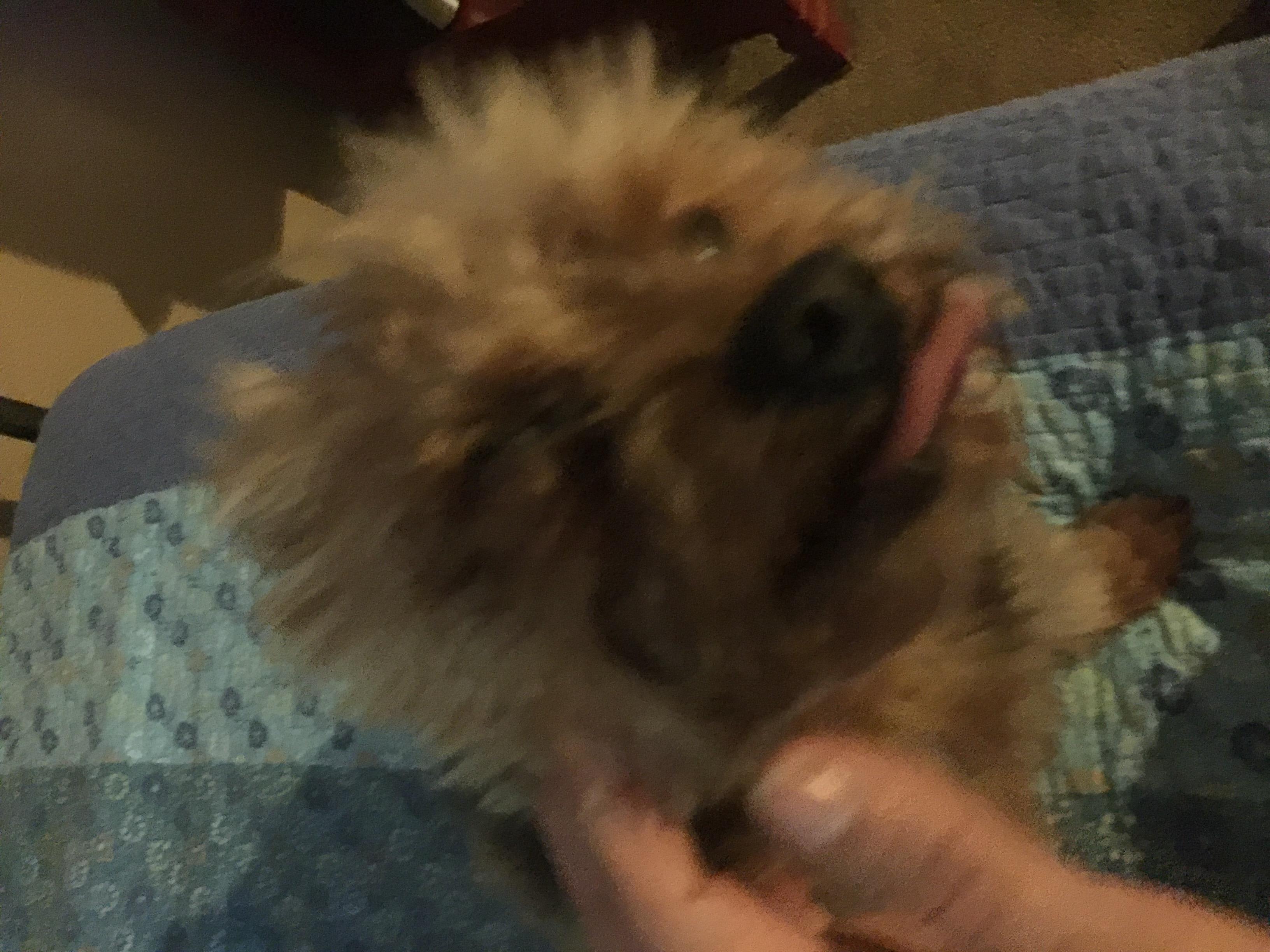 Question details sensitive content