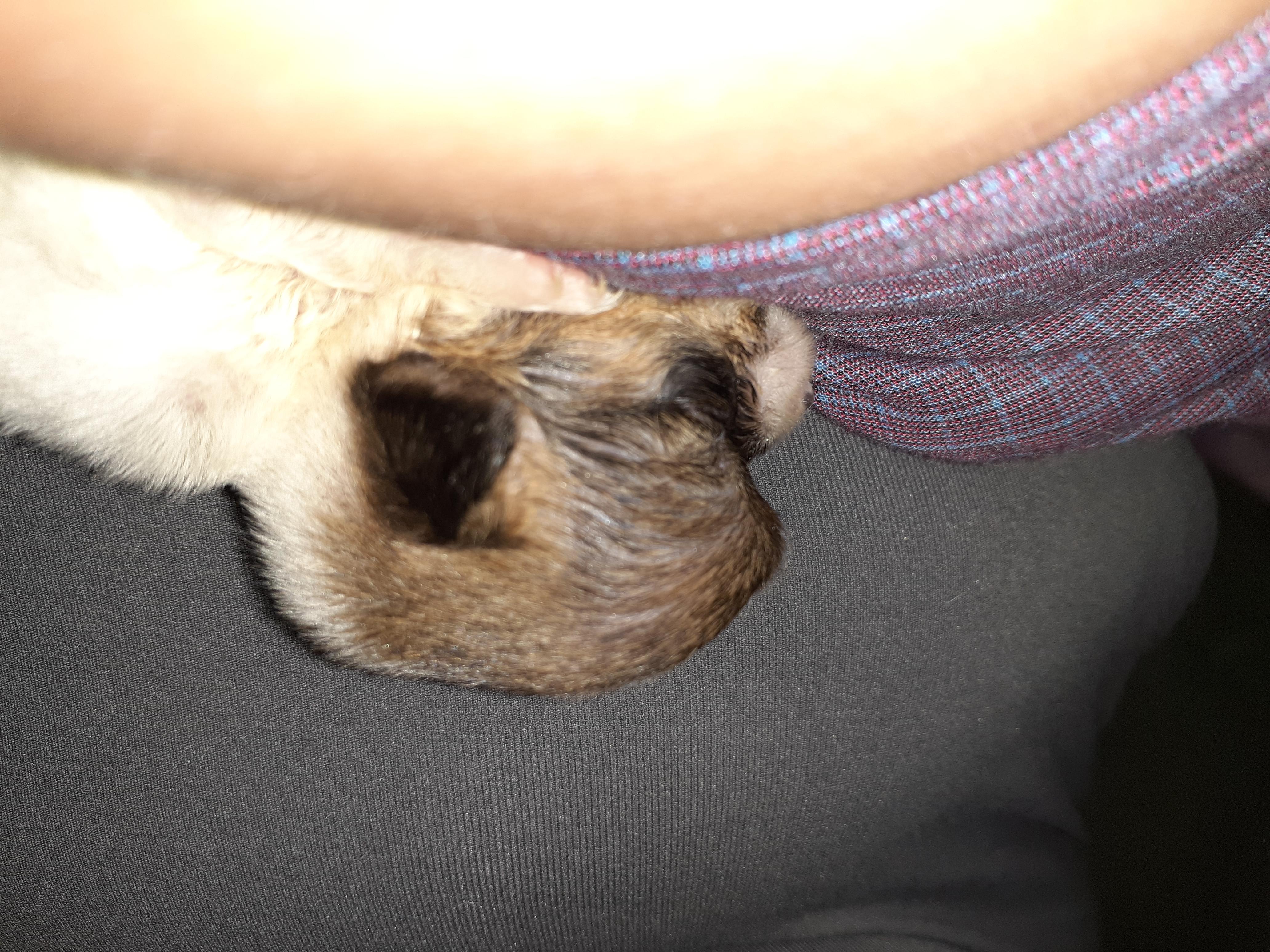 Question details sensitive content