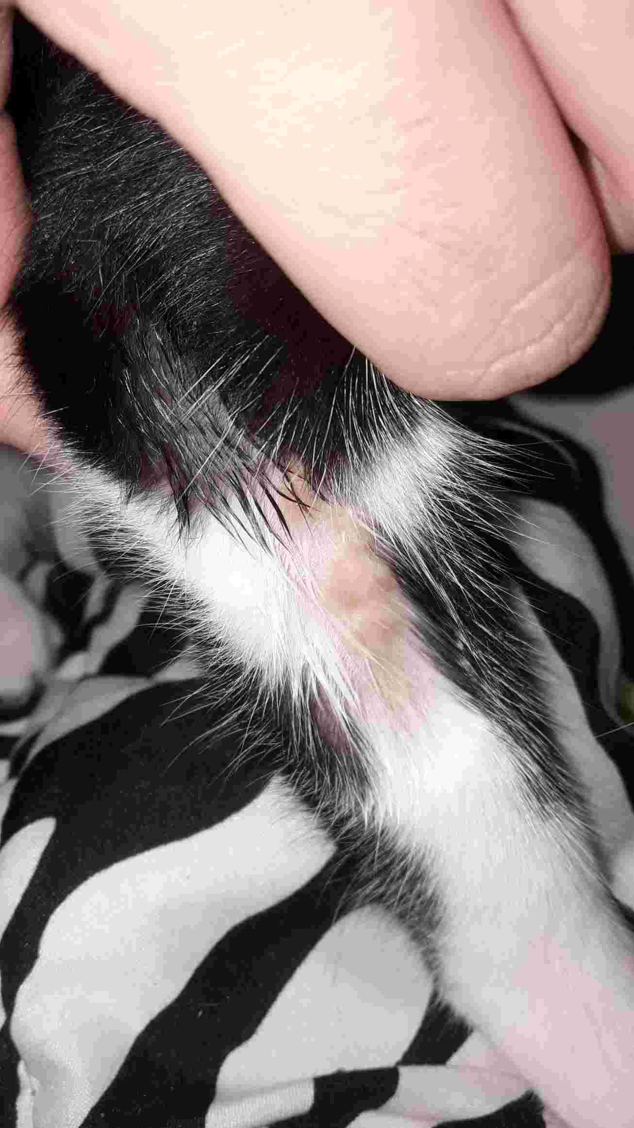 Question details sensitive content