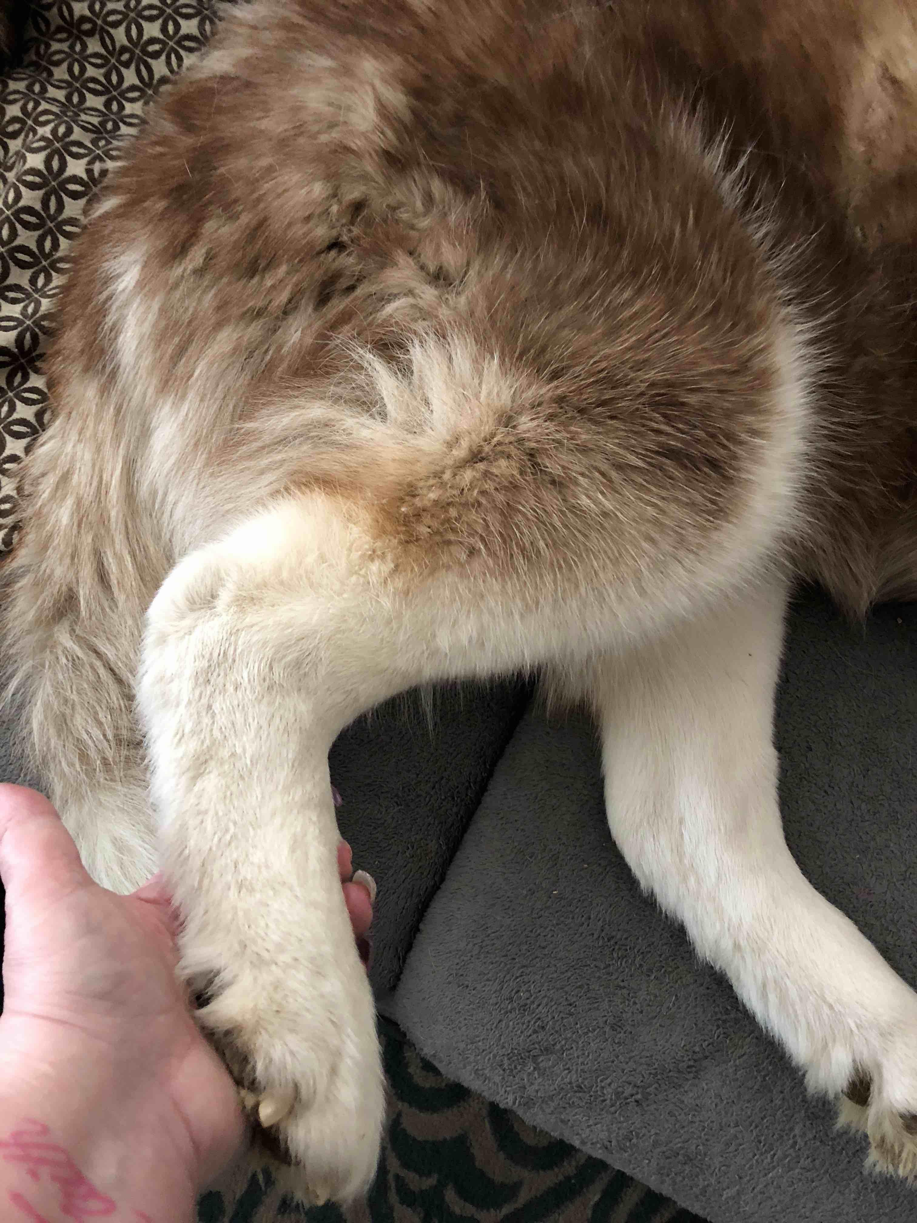 Question details sensitive content