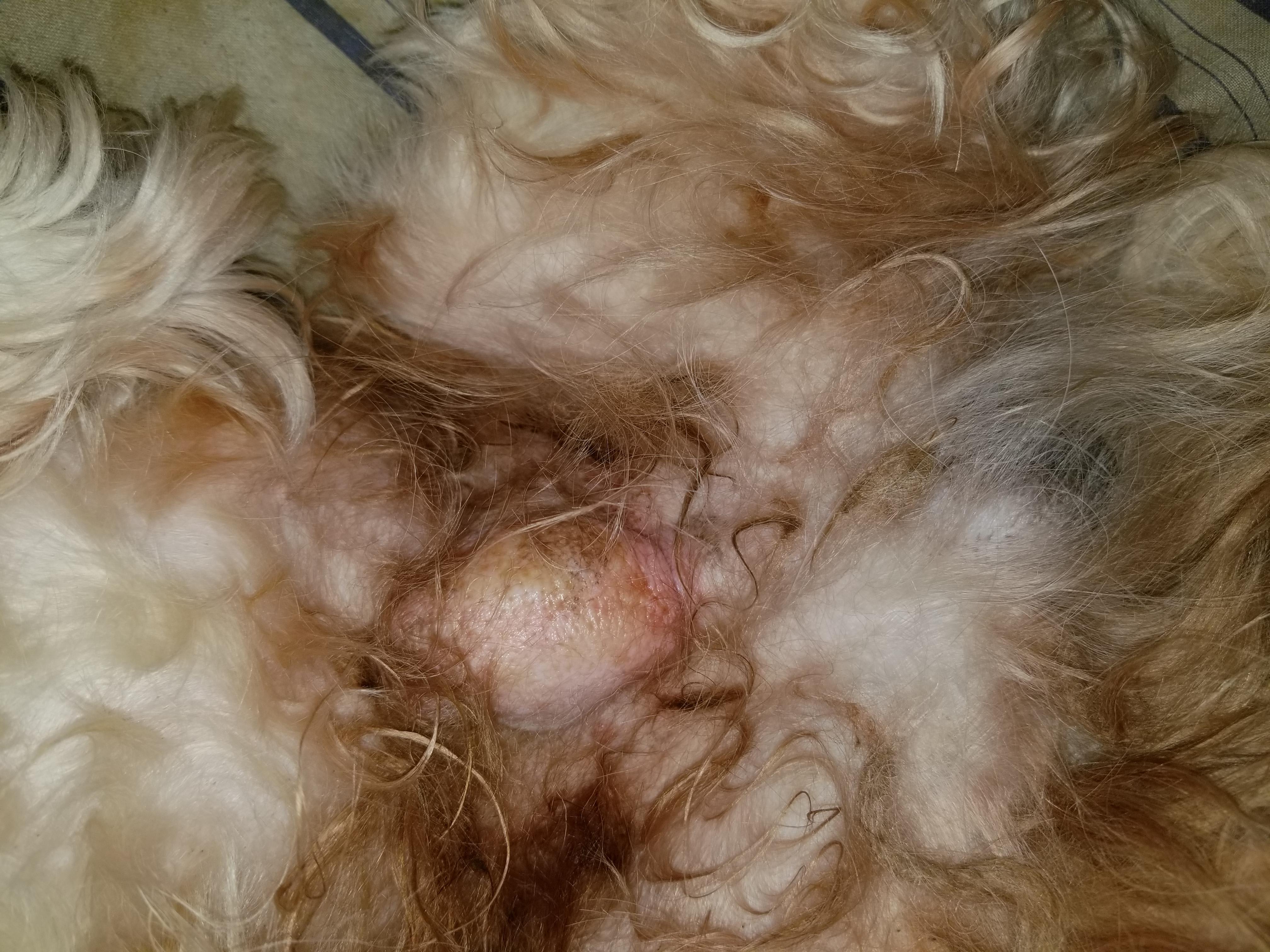 Question details sensitive content