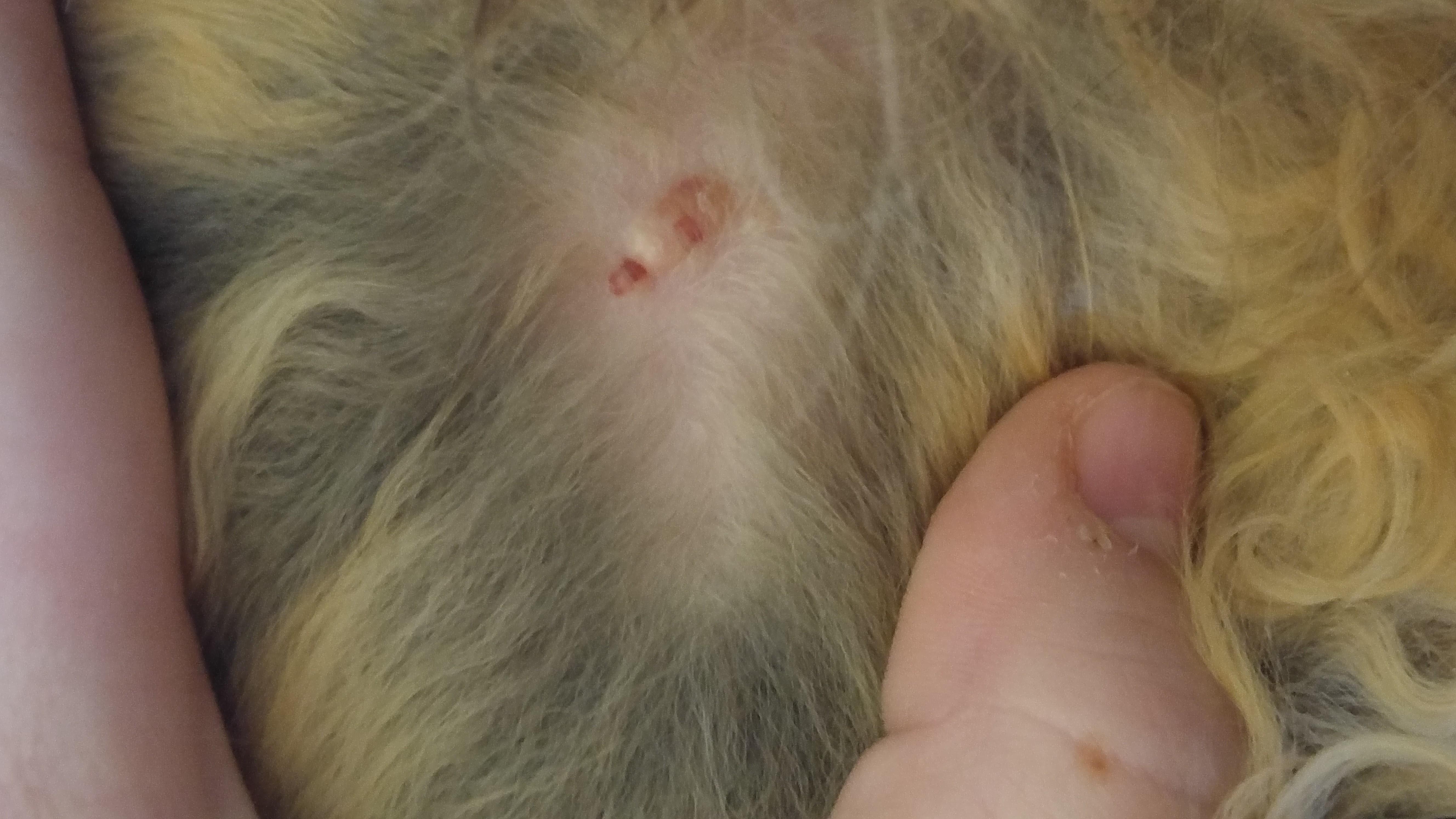 Question details sensitive content