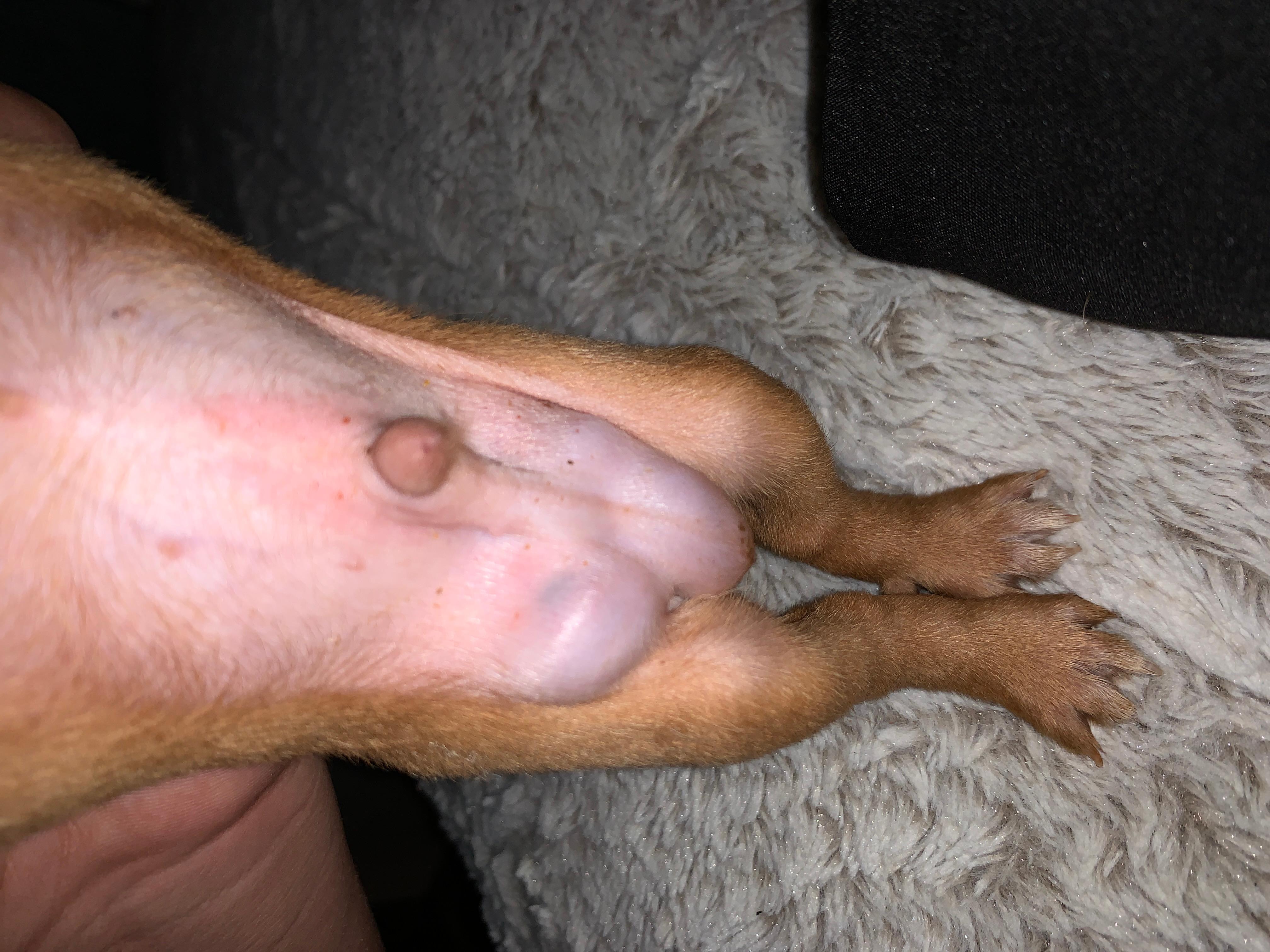 Question details sensitive content