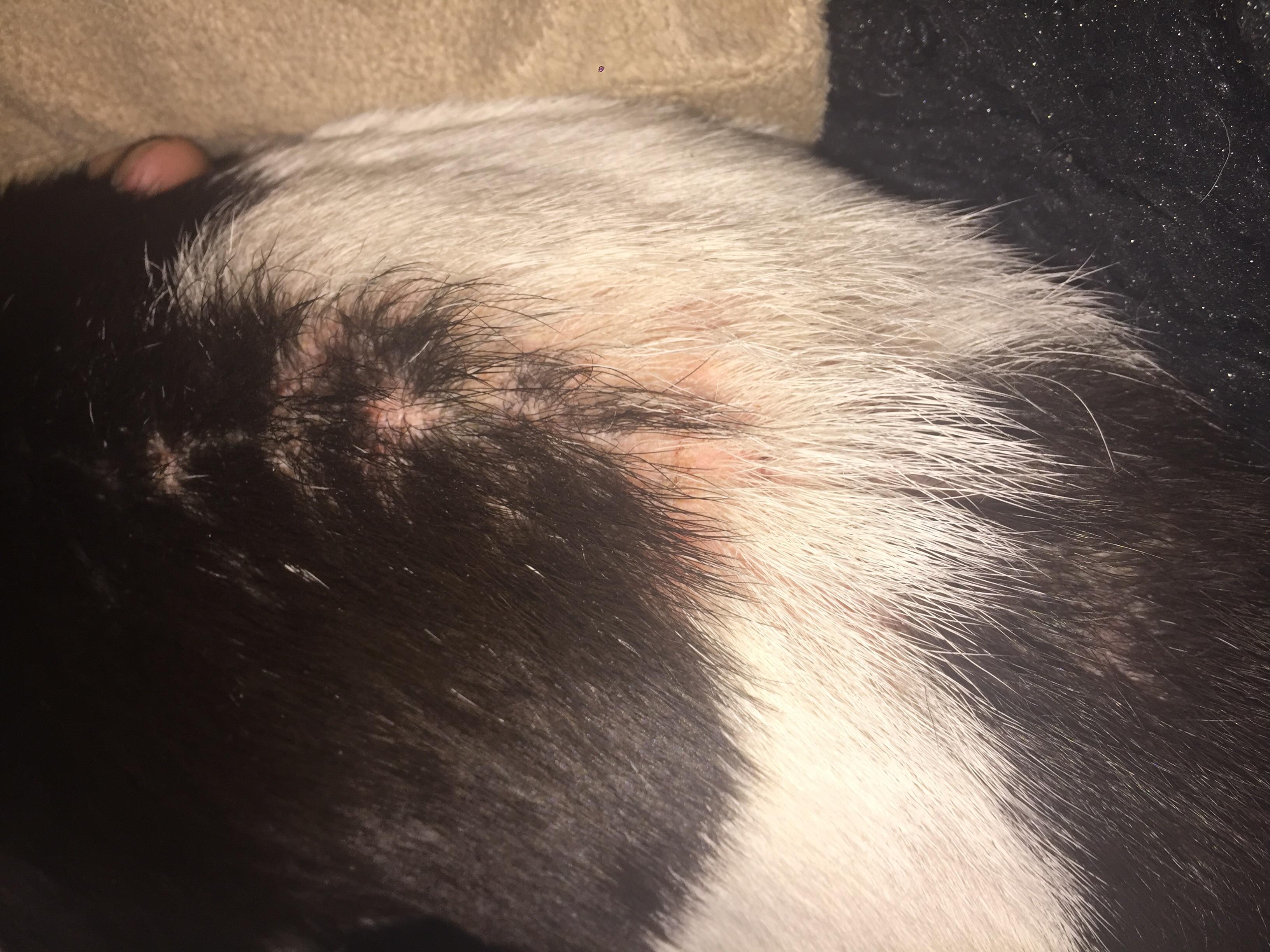 Question details sensitive content