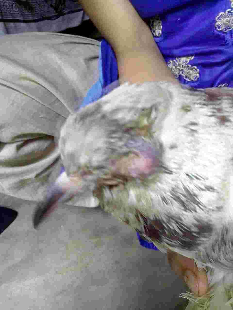 Question details sensitive content